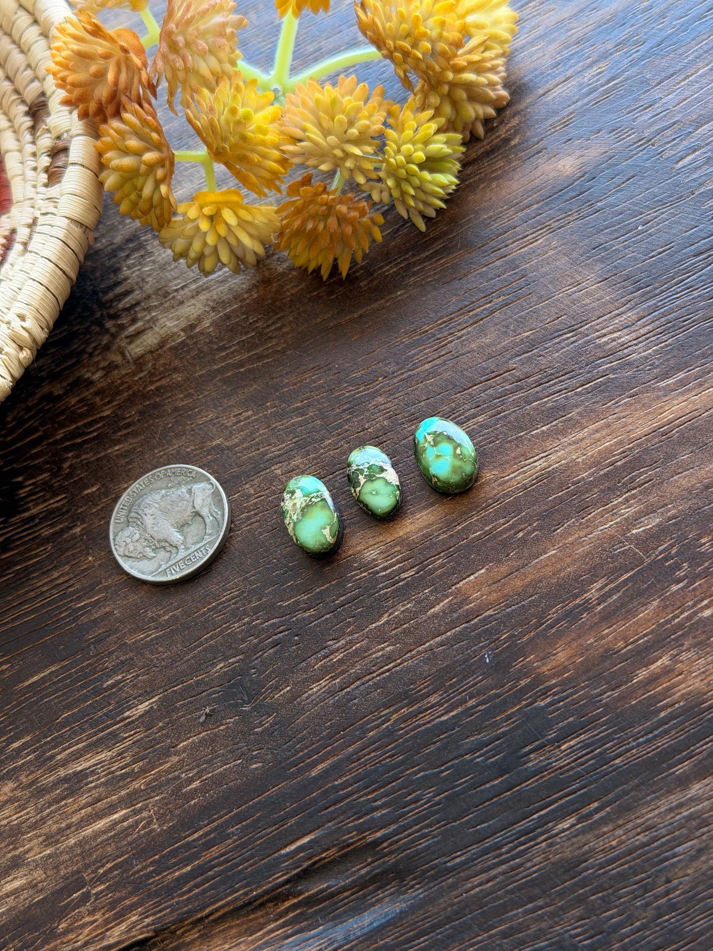 Sonoran Mountain Turquoise Cabs