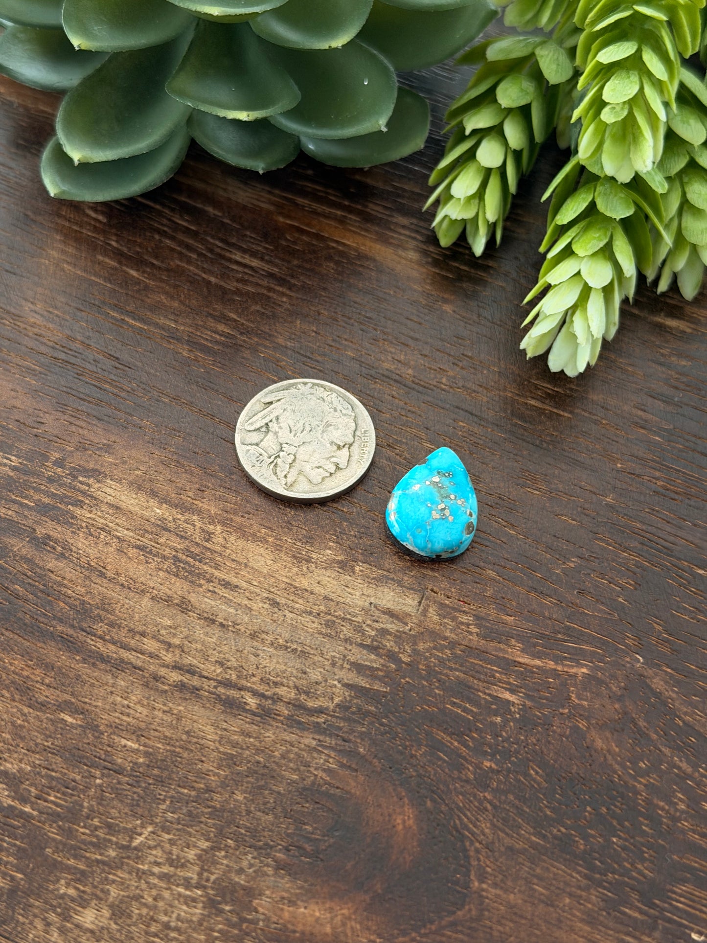 Blue Bird Turquoise Cab