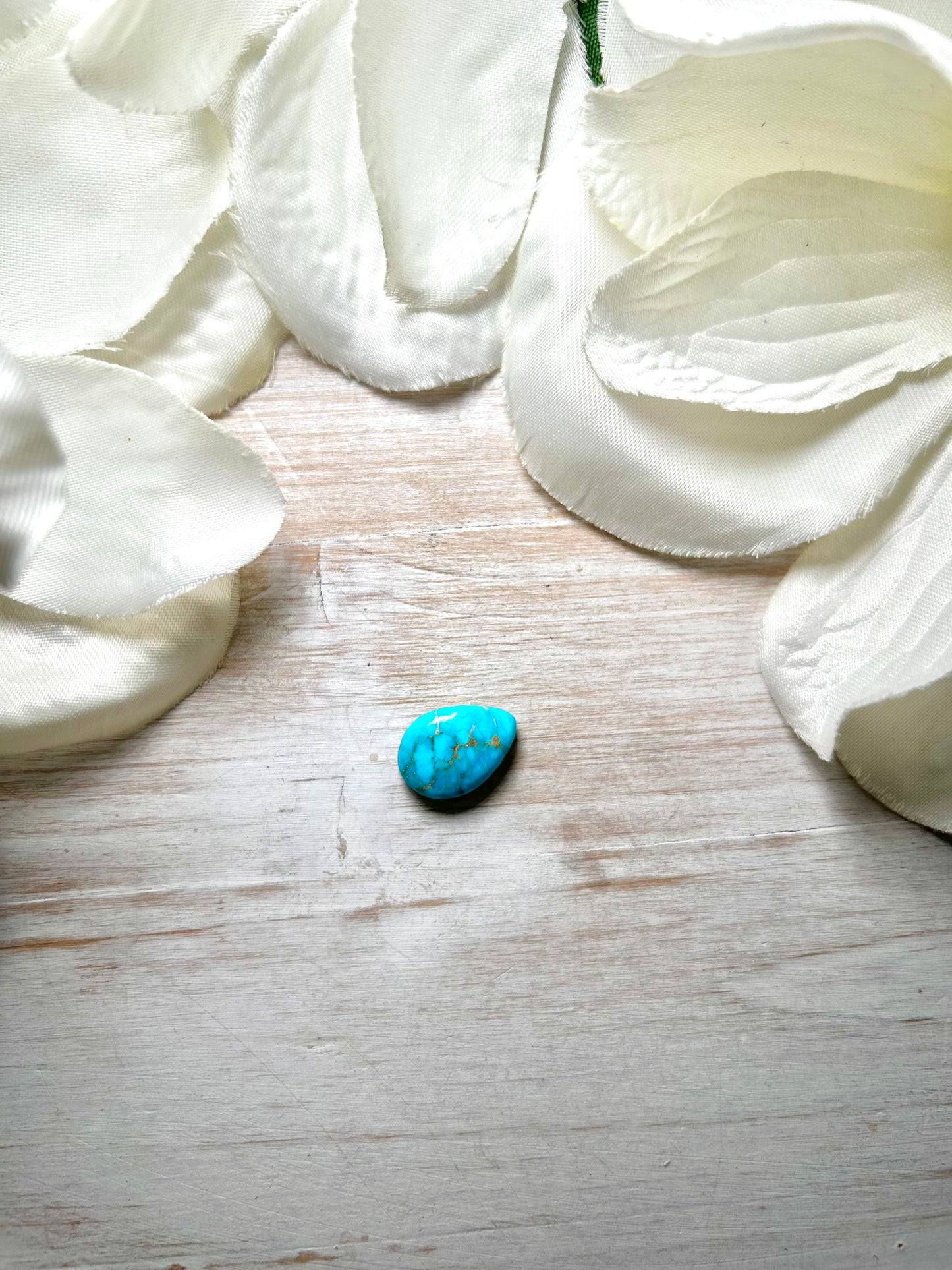 Blue Ridge Turquoise Cab