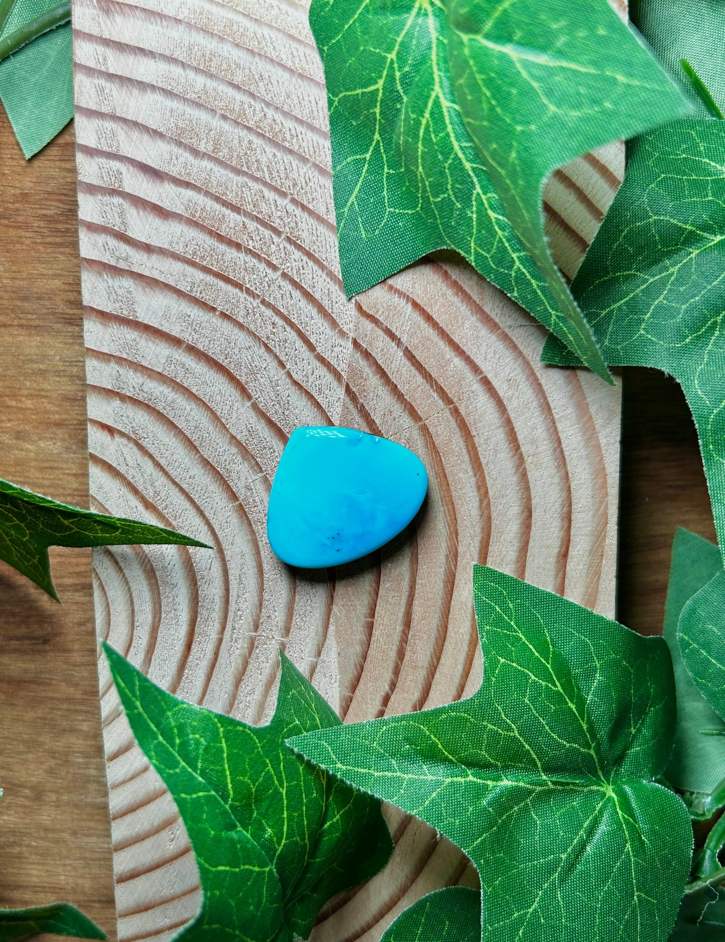 Blue Bird Turquoise Cabs