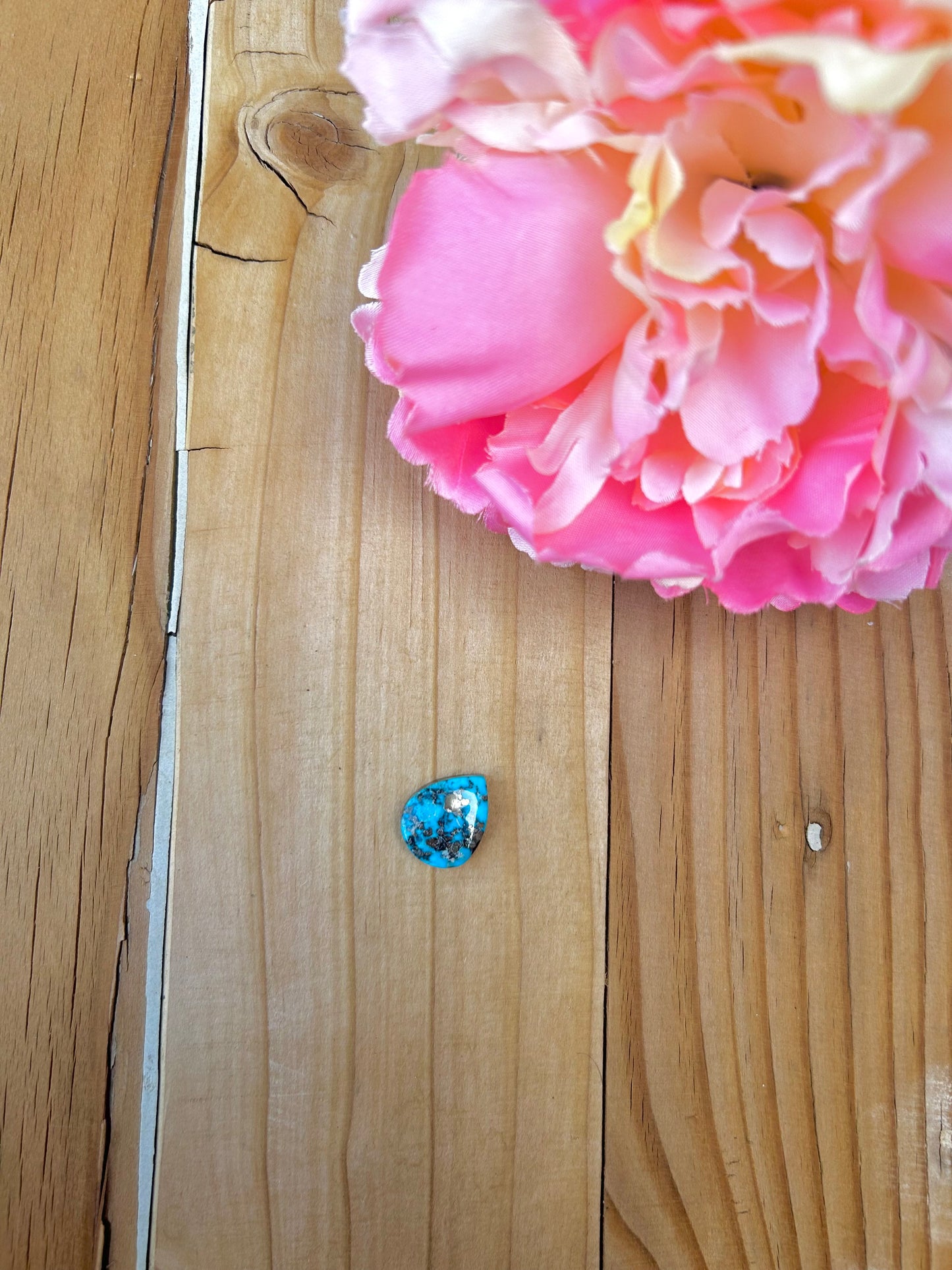 Blue Bird Turquoise Cabs