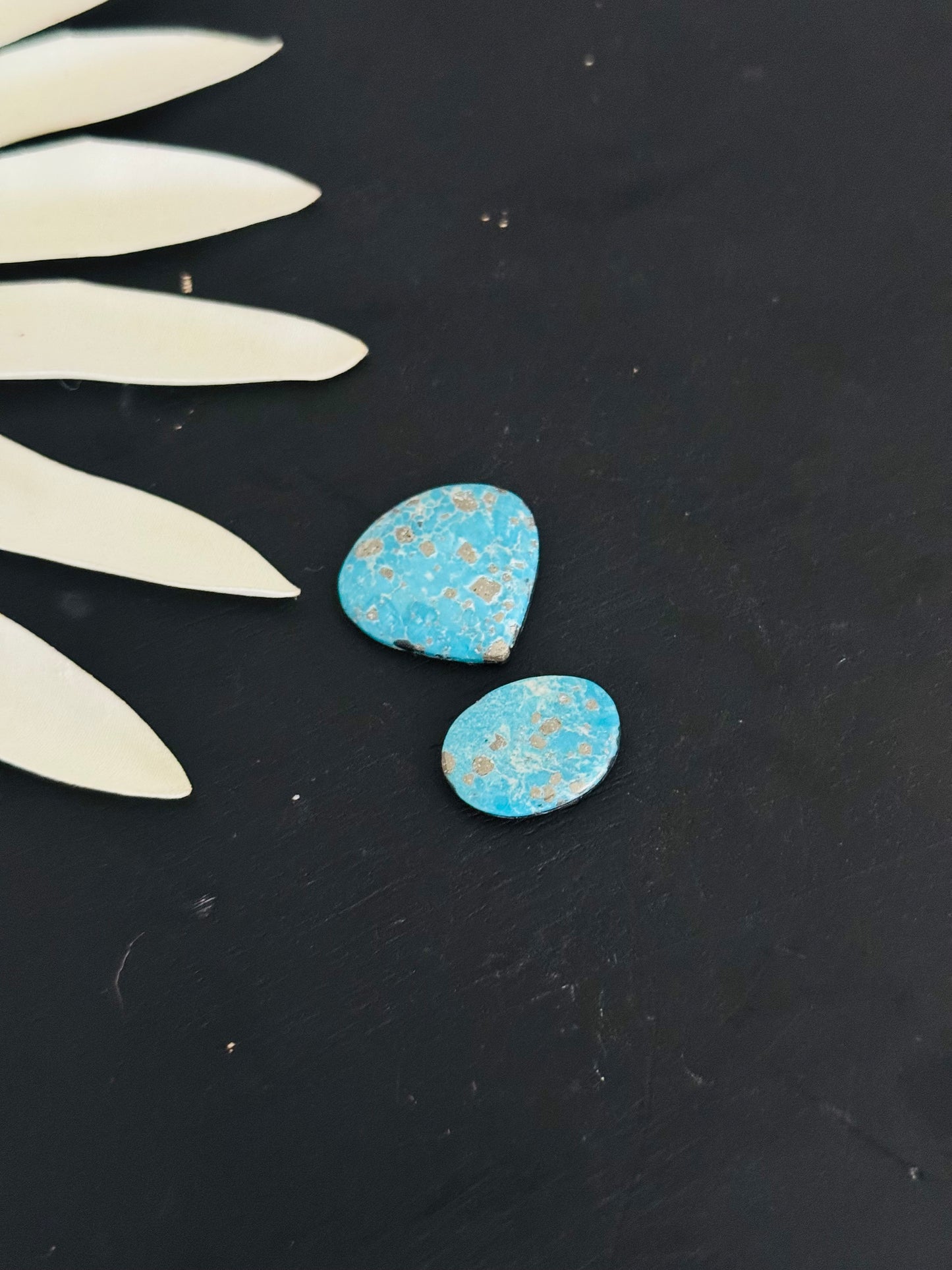 Blue Bird Turquoise Cabs