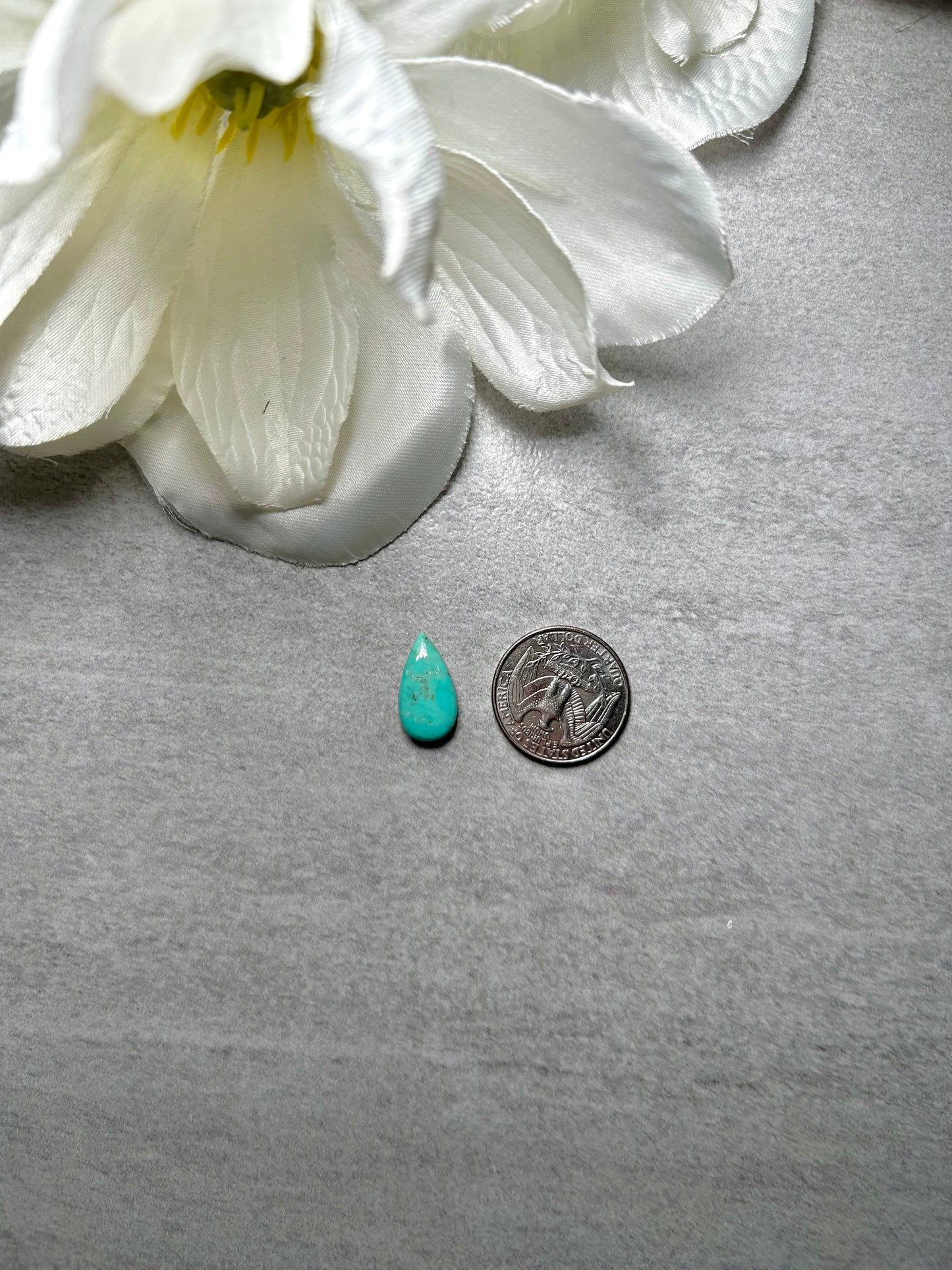 Kingman Turquoise Cab