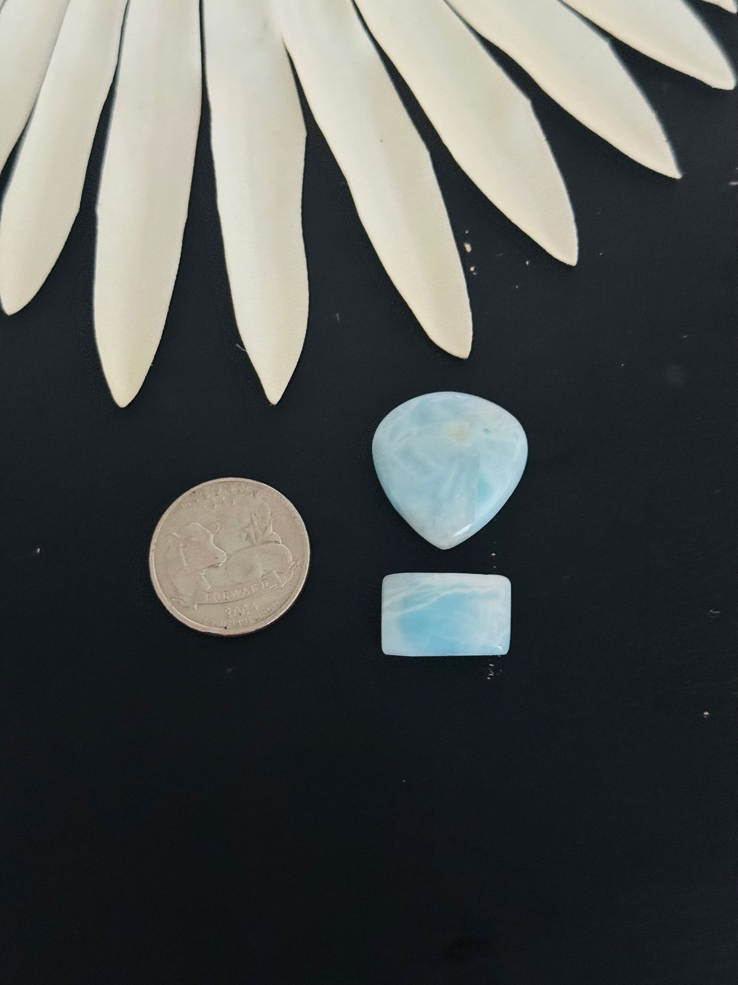 Larimar Cabs