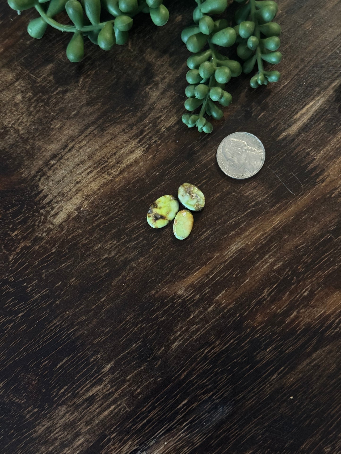 Palomino Variscite Cabs