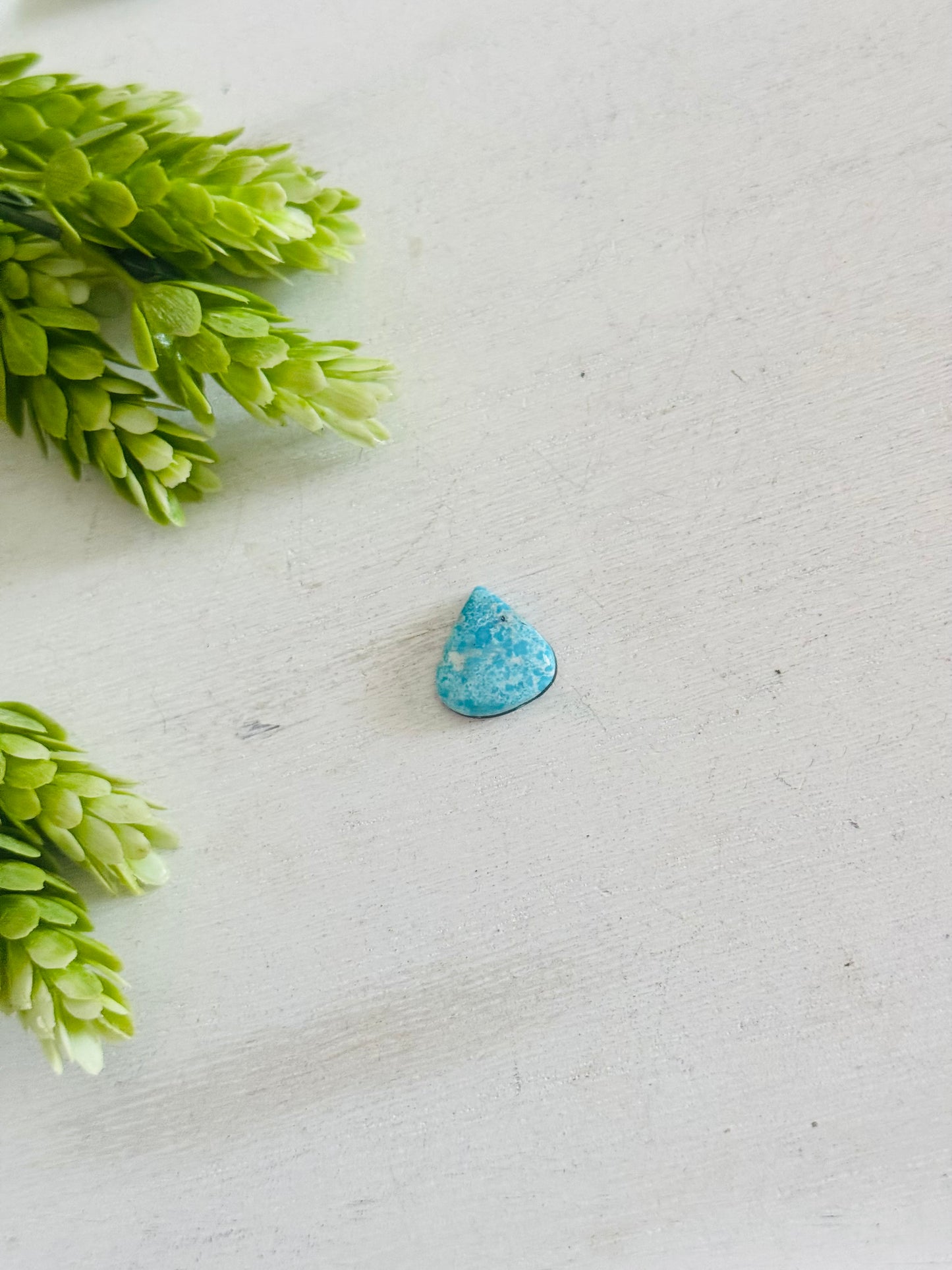 Blue Bird Turquoise Cab