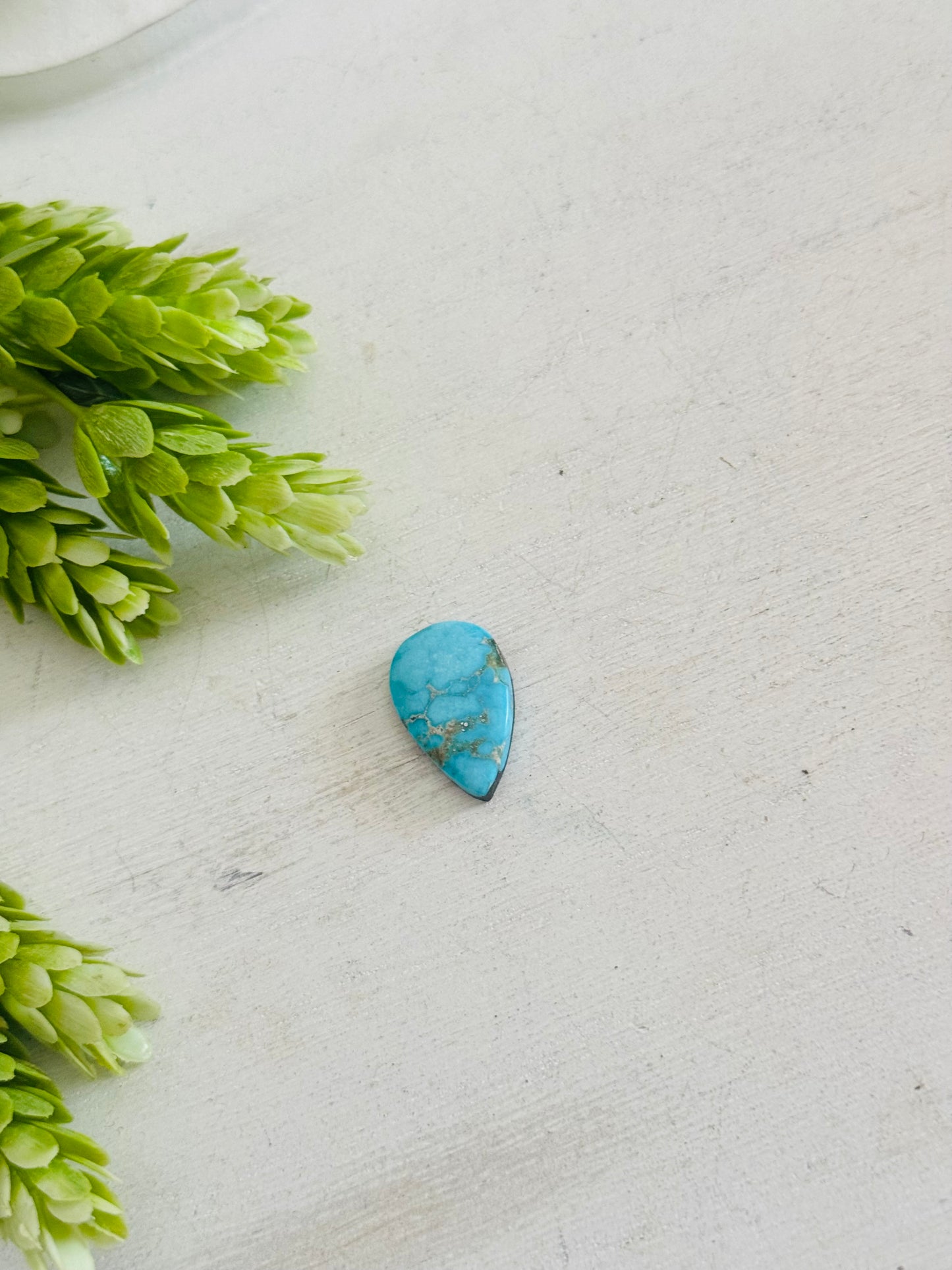 Blue Bird Turquoise Cab