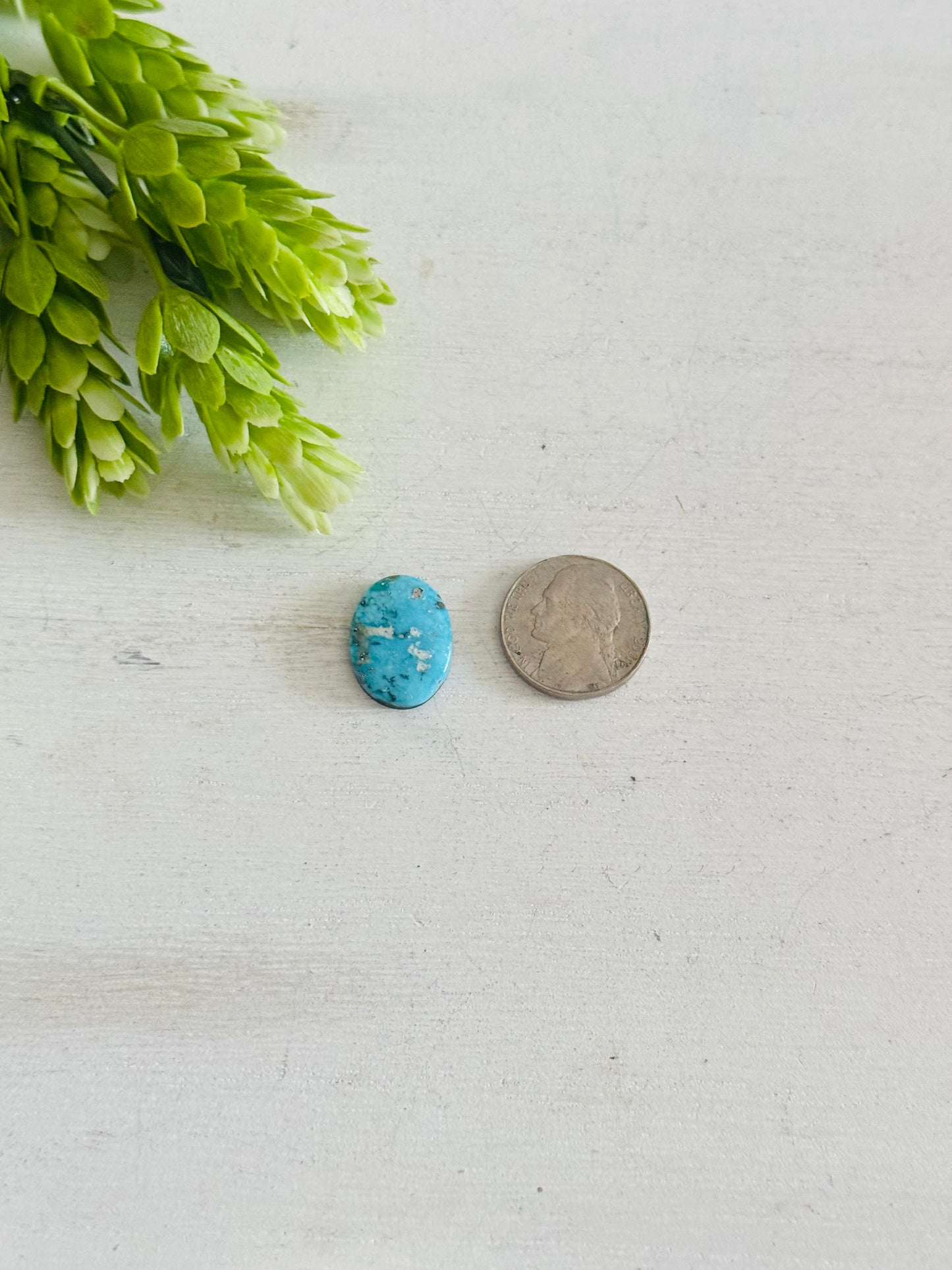Blue Bird Turquoise Cab