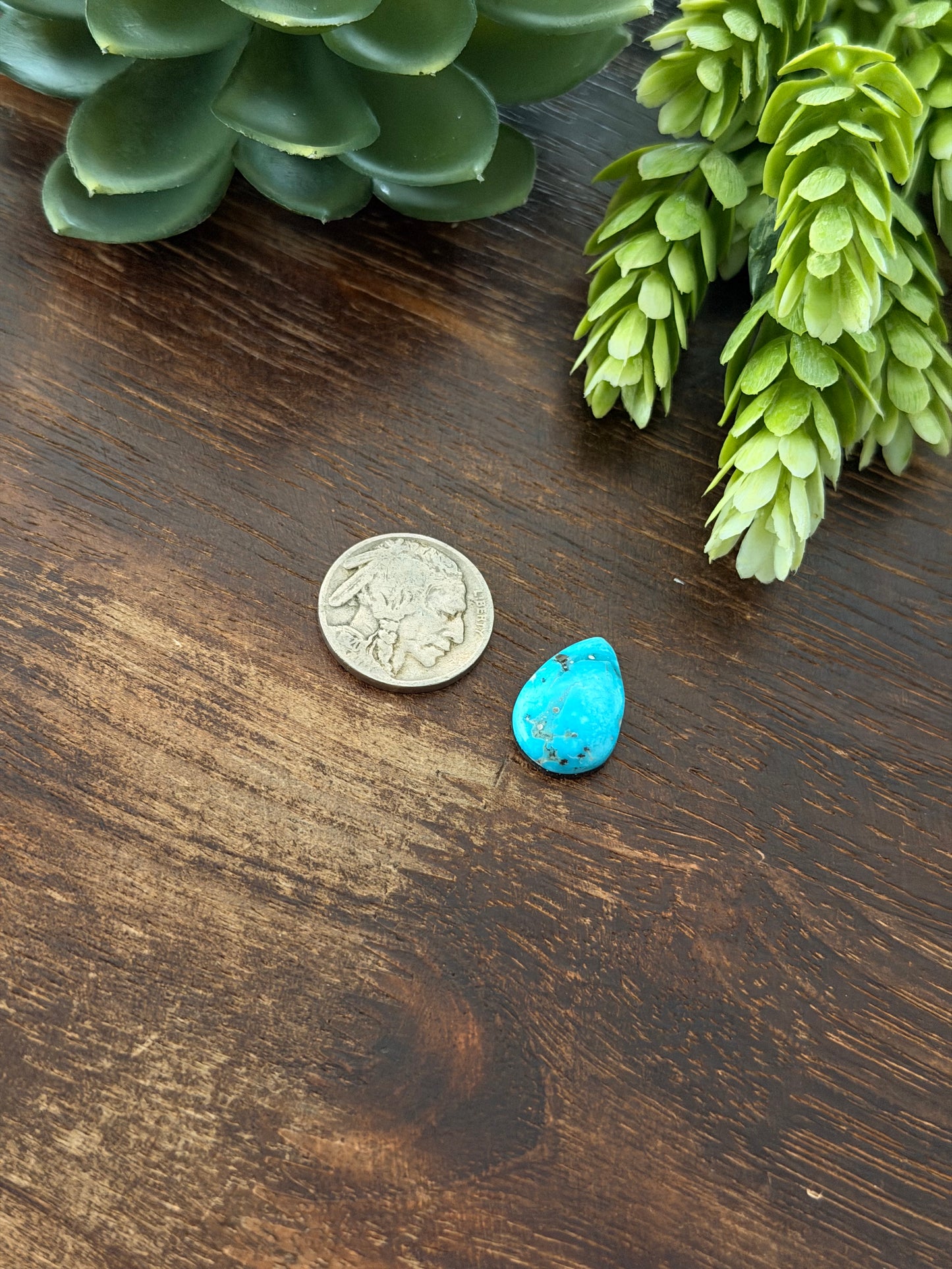 Blue Bird Turquoise Cab