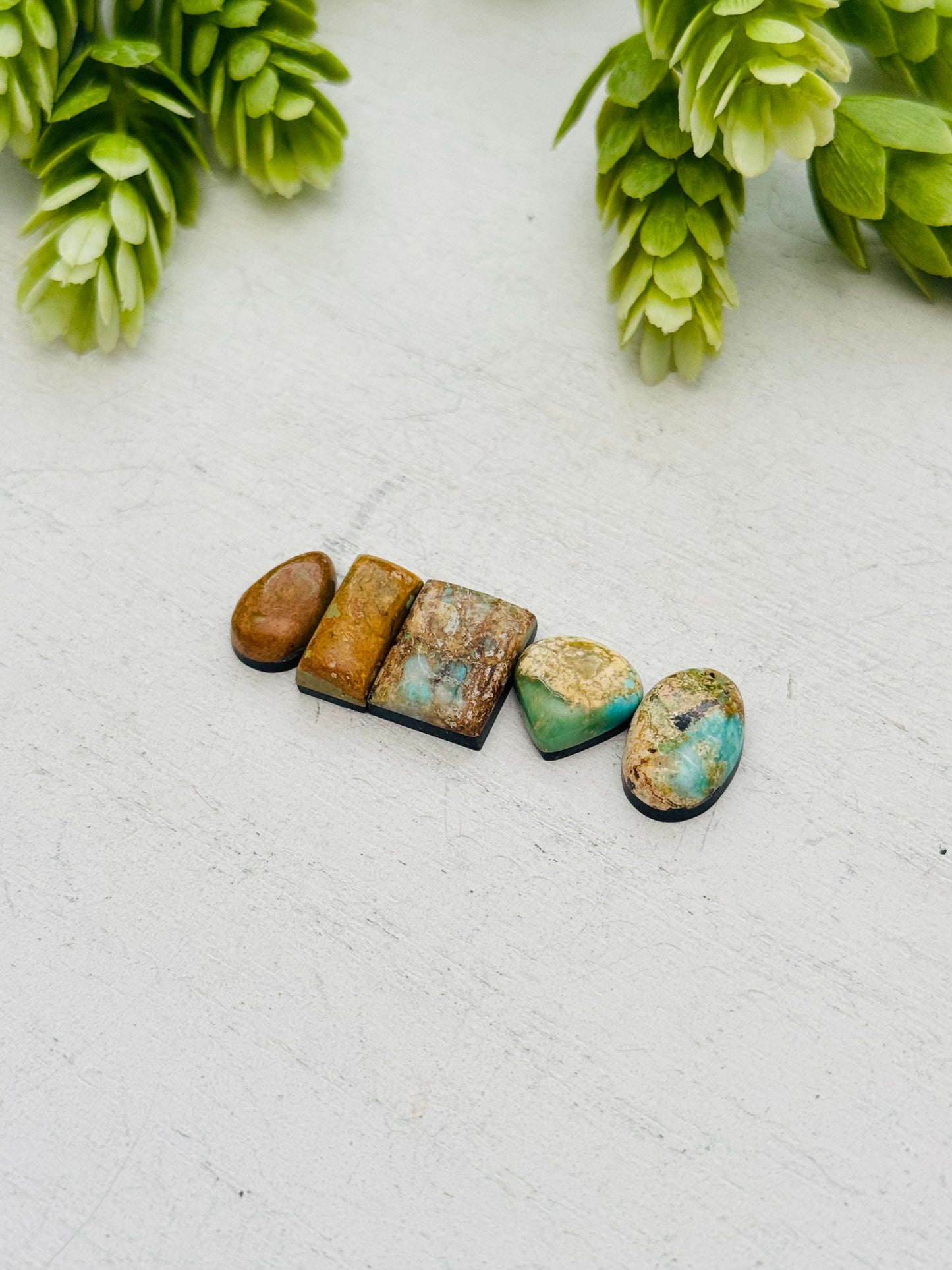 Evans Turquoise Cabs