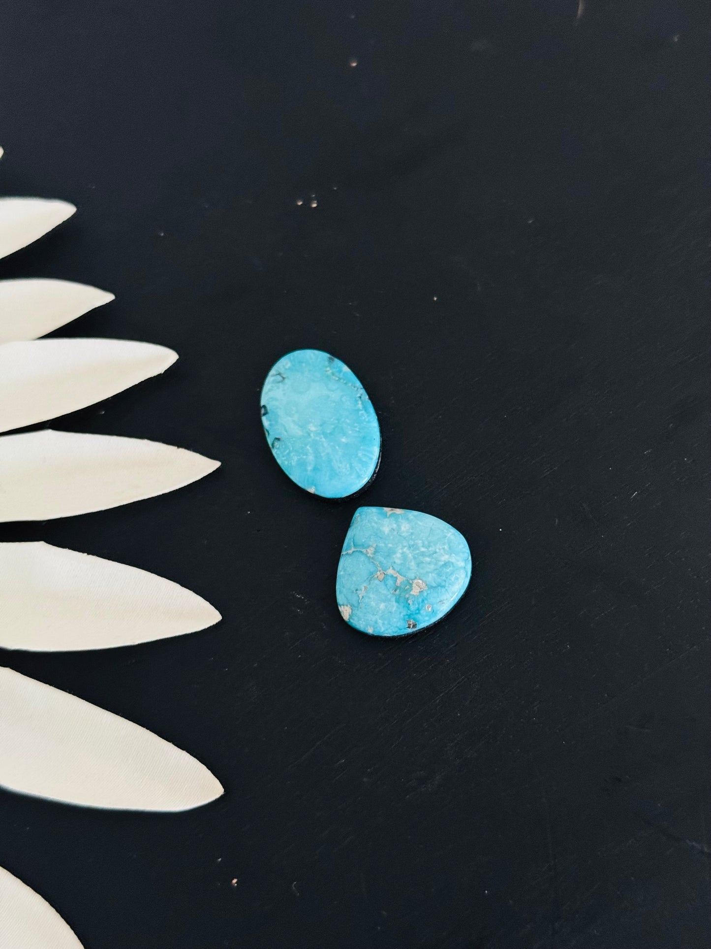 Blue Bird Turquoise Cabs