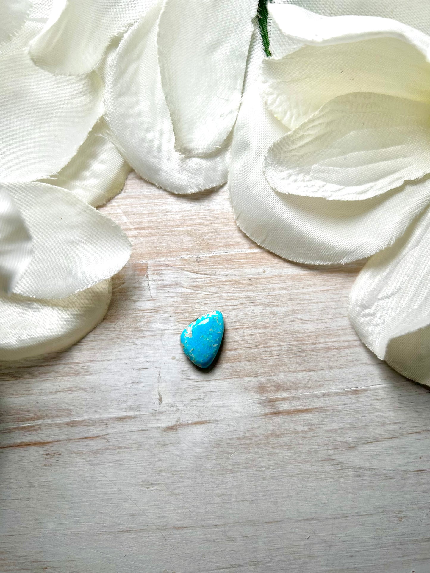Blue Ridge Turquoise Cab