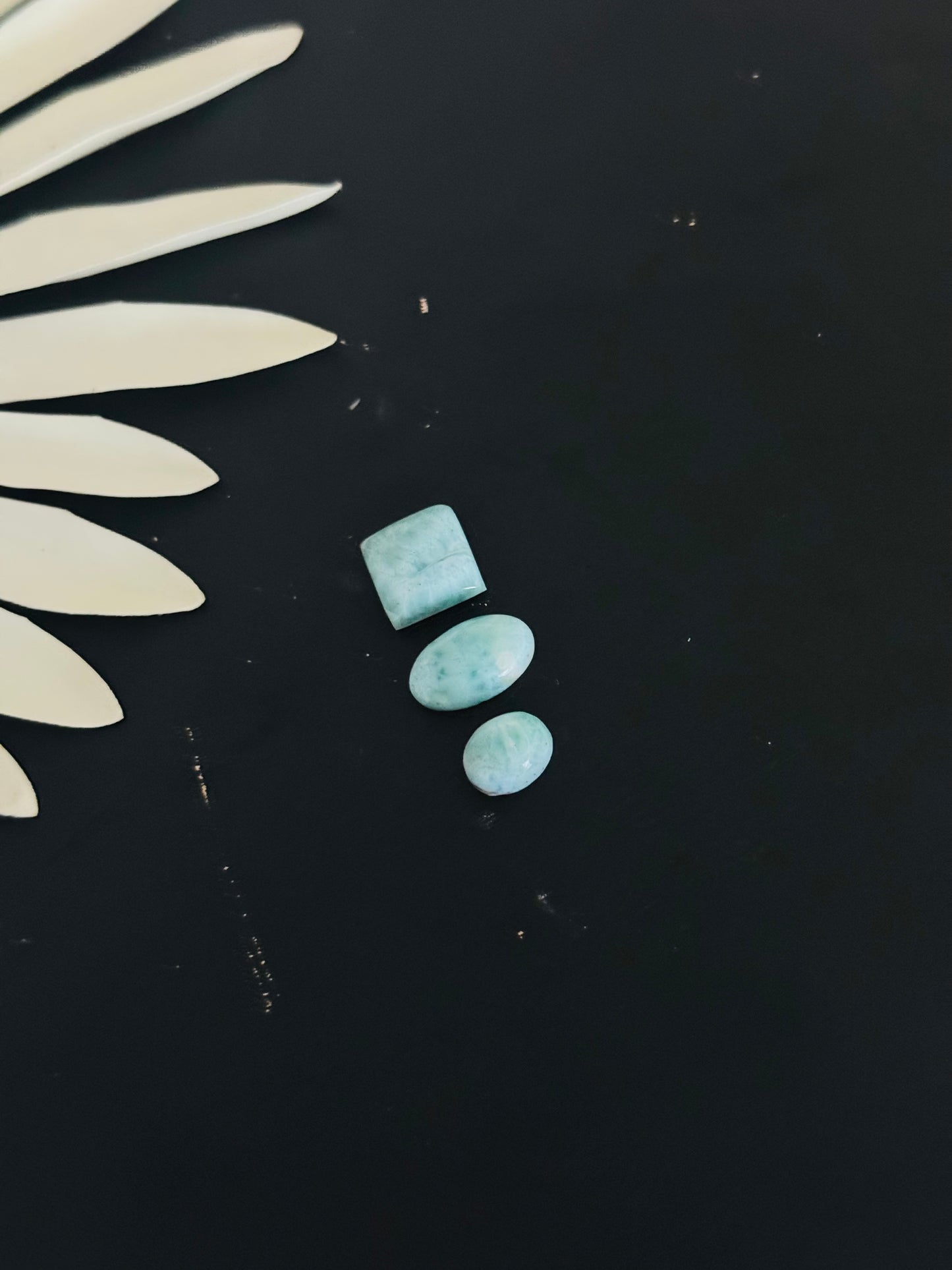 Larimar Cabs
