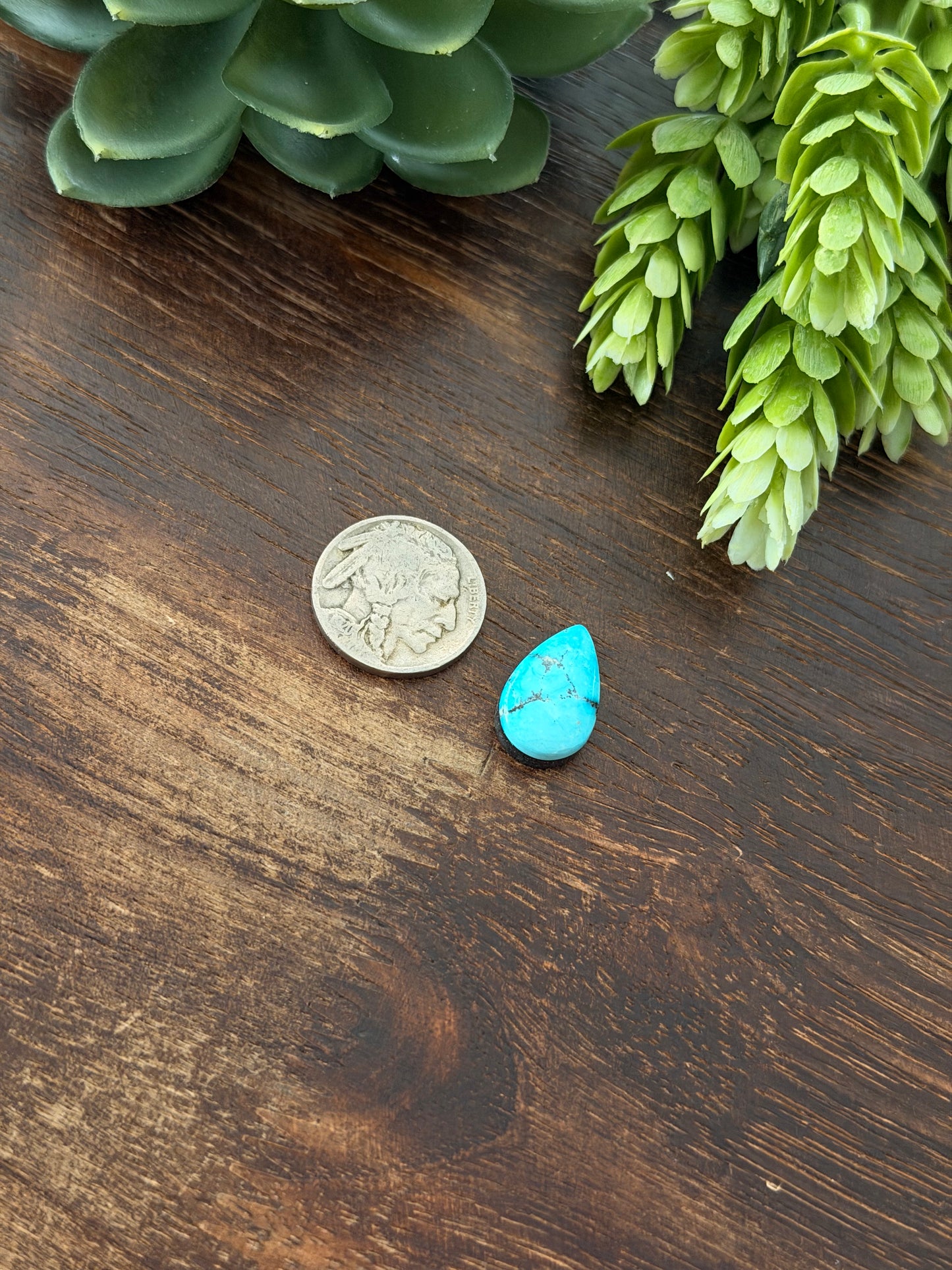 Blue Bird Turquoise Cab