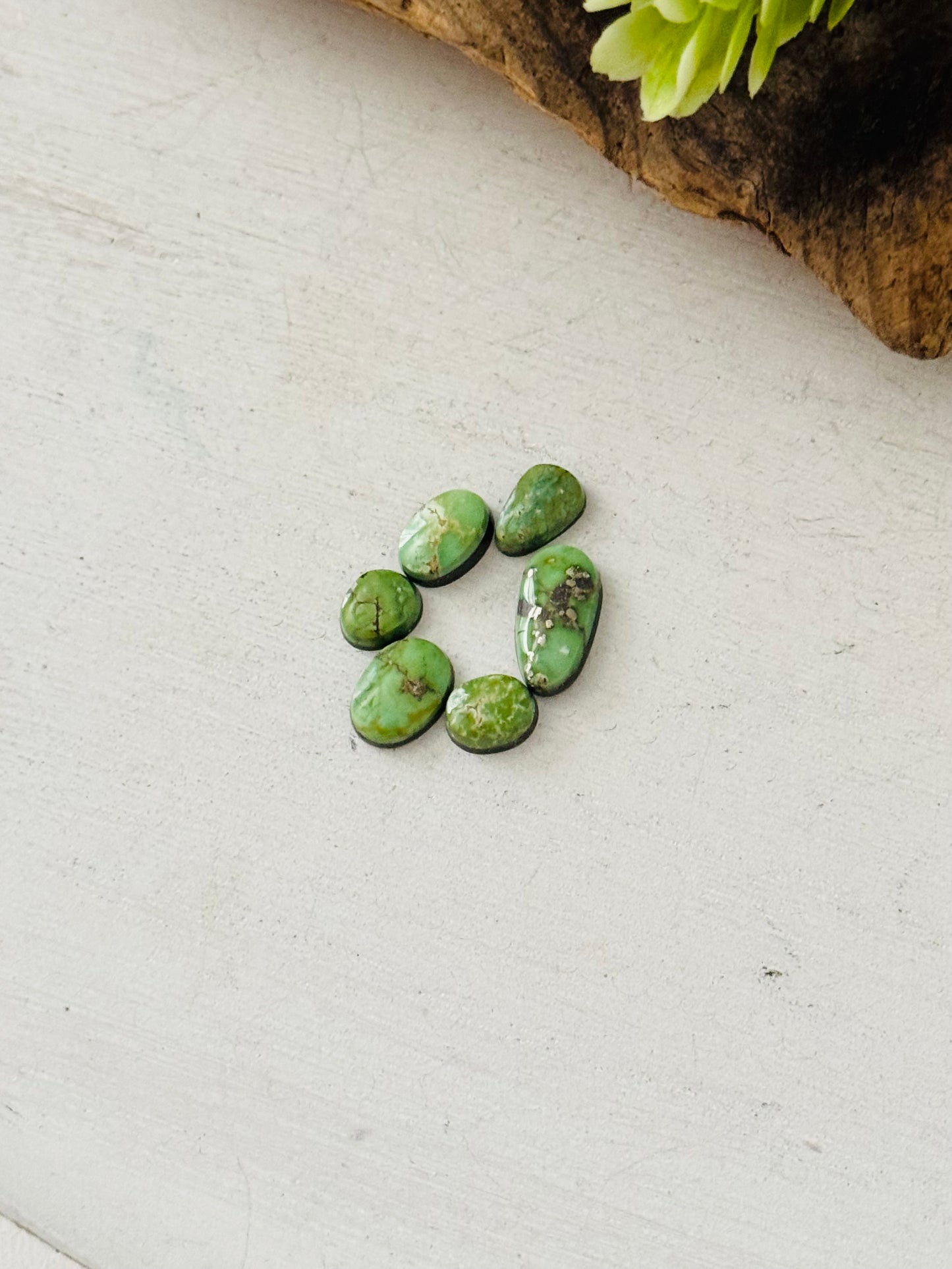 Natural Sonoran Gold Turquoise Cabs