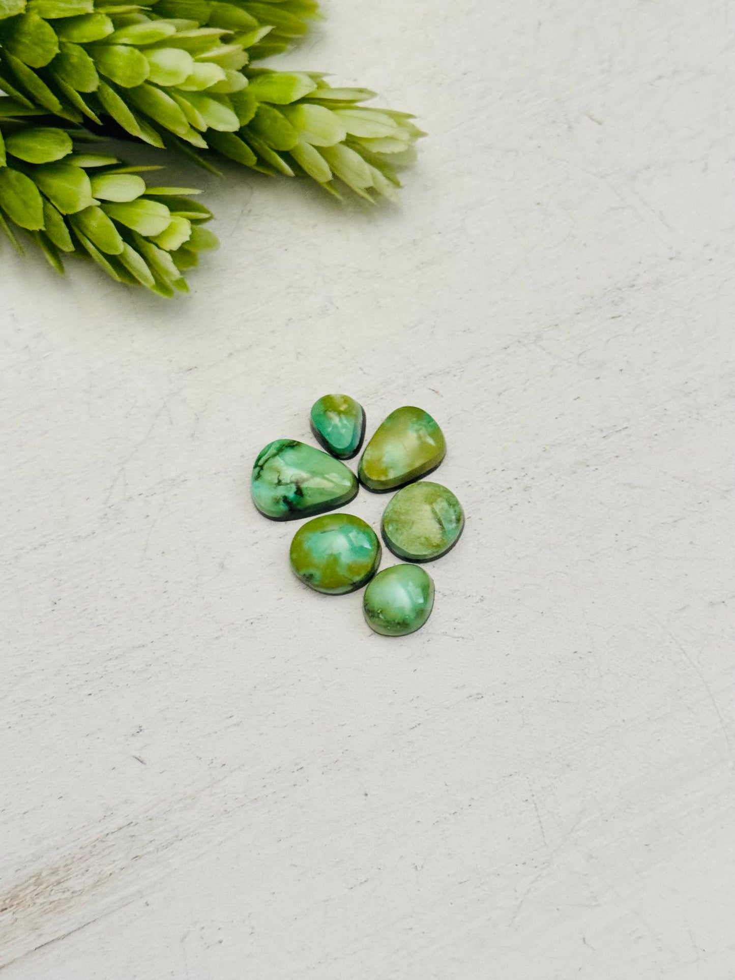 Natural Sonoran Gold Turquoise Cabs