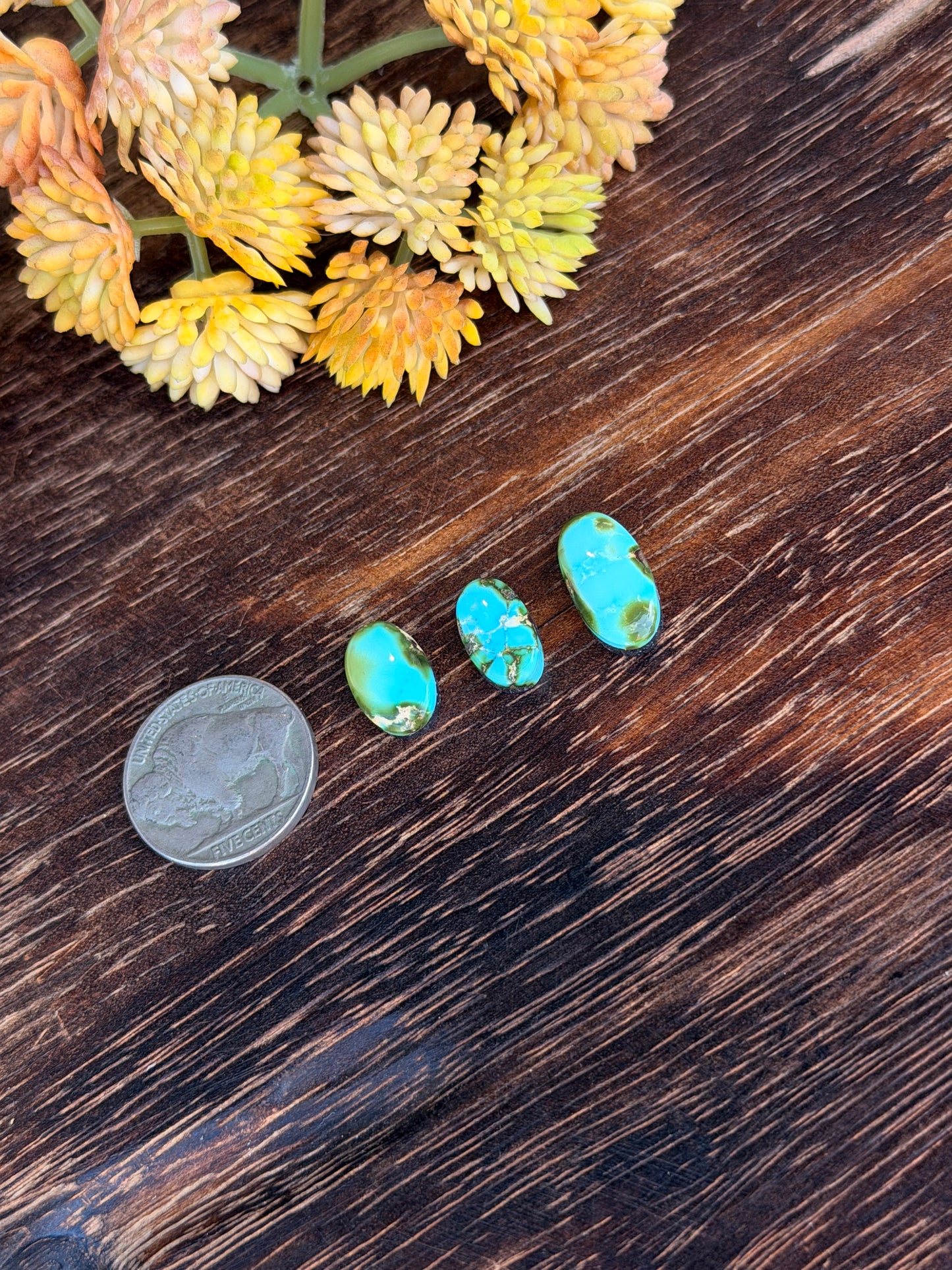 Sonoran Mountain Turquoise Cabs