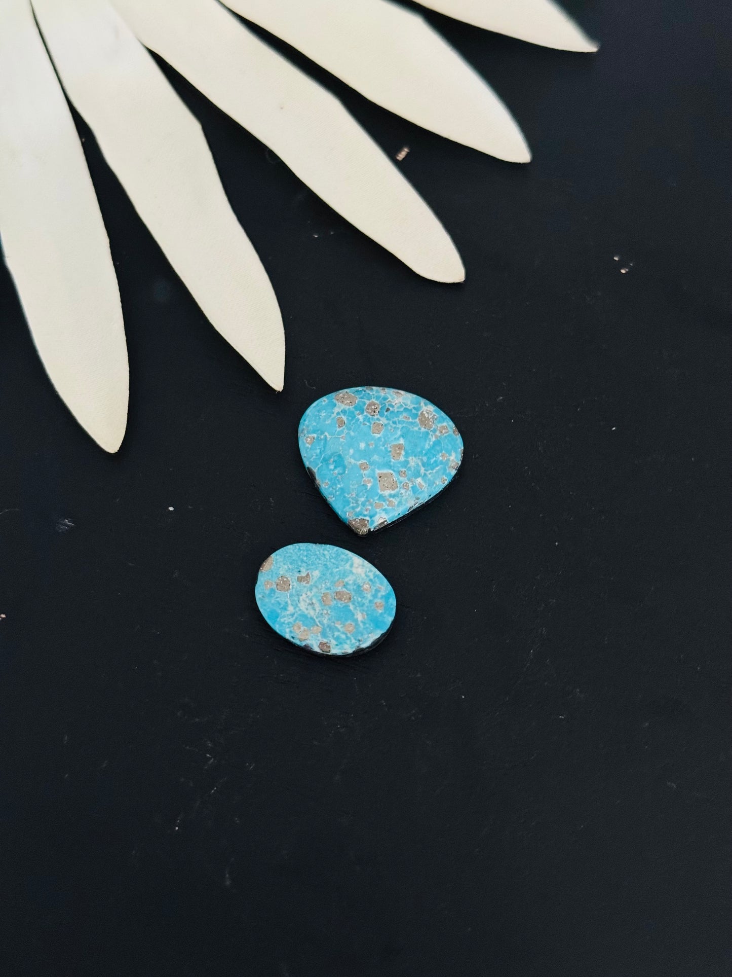 Blue Bird Turquoise Cabs