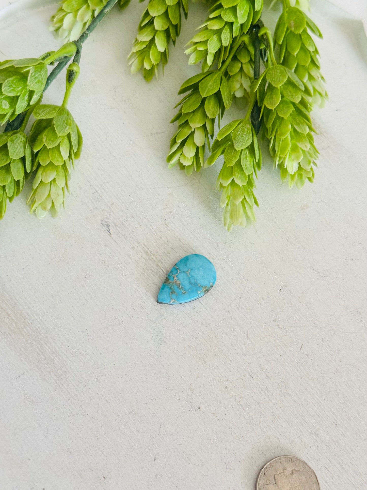 Blue Bird Turquoise Cab