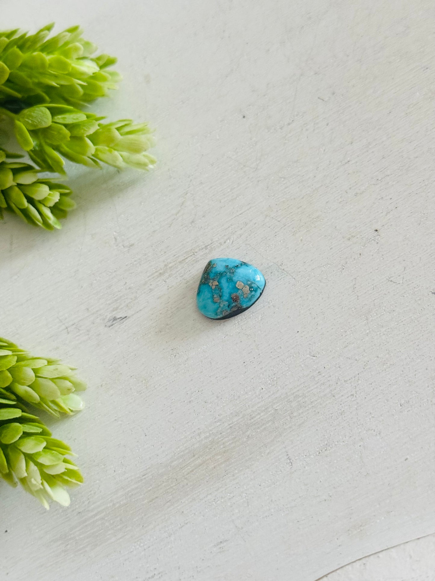 Blue Bird Turquoise Cab