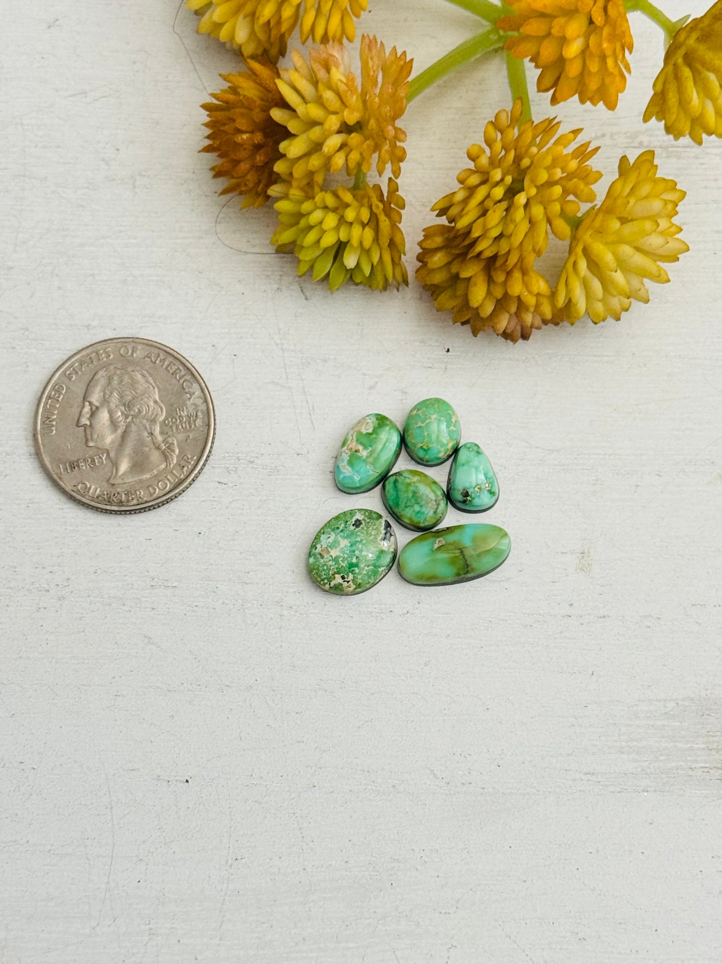 Natural Sonoran Gold Turquoise Cabs