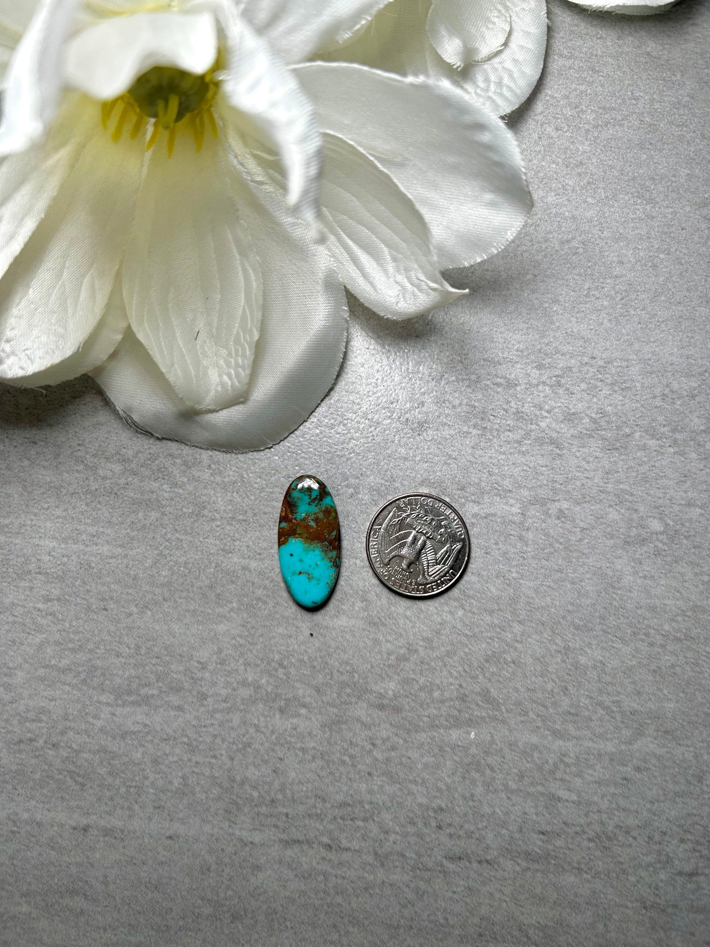 Kingman Turquoise Cab