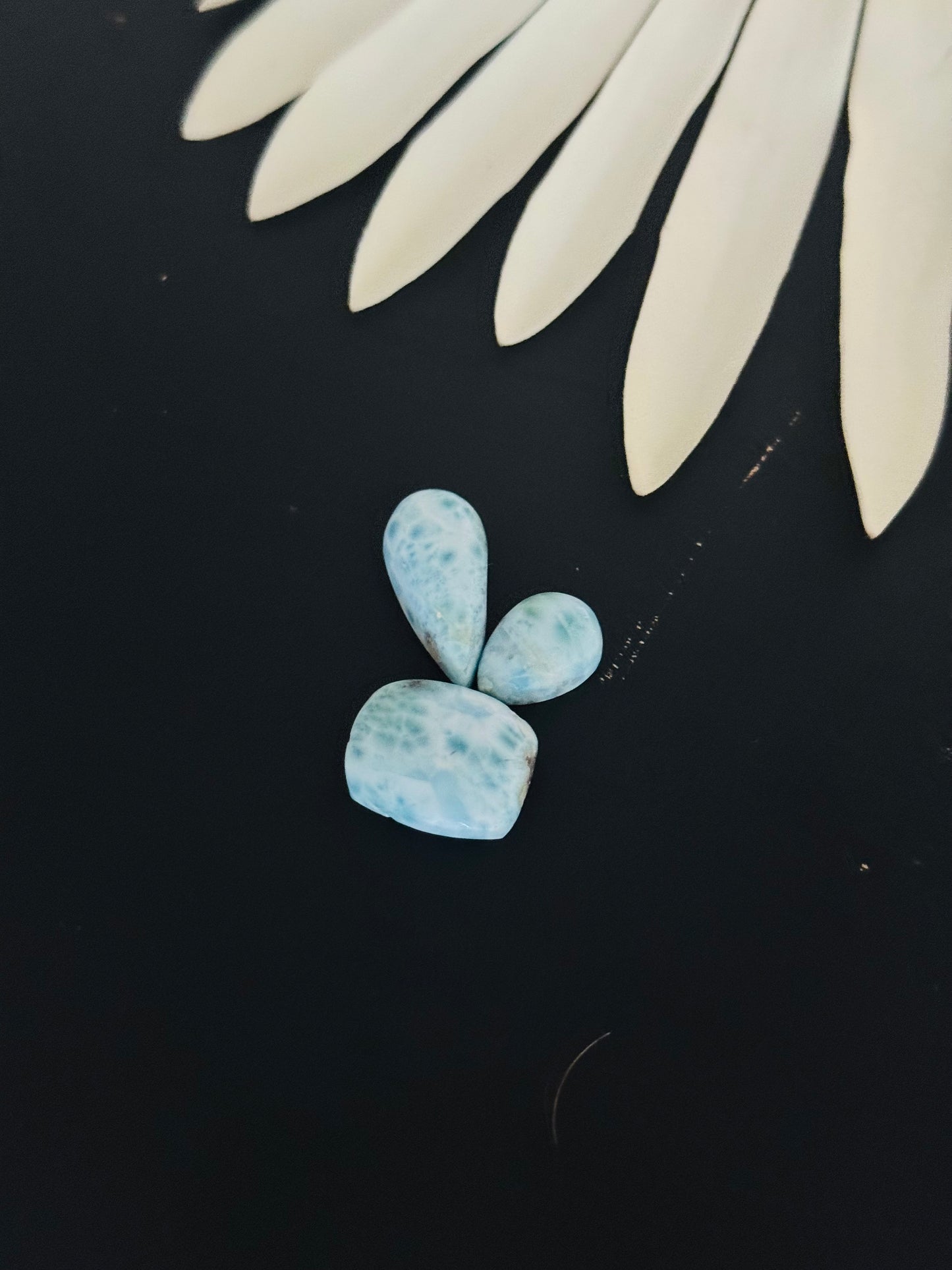 Larimar Cabs