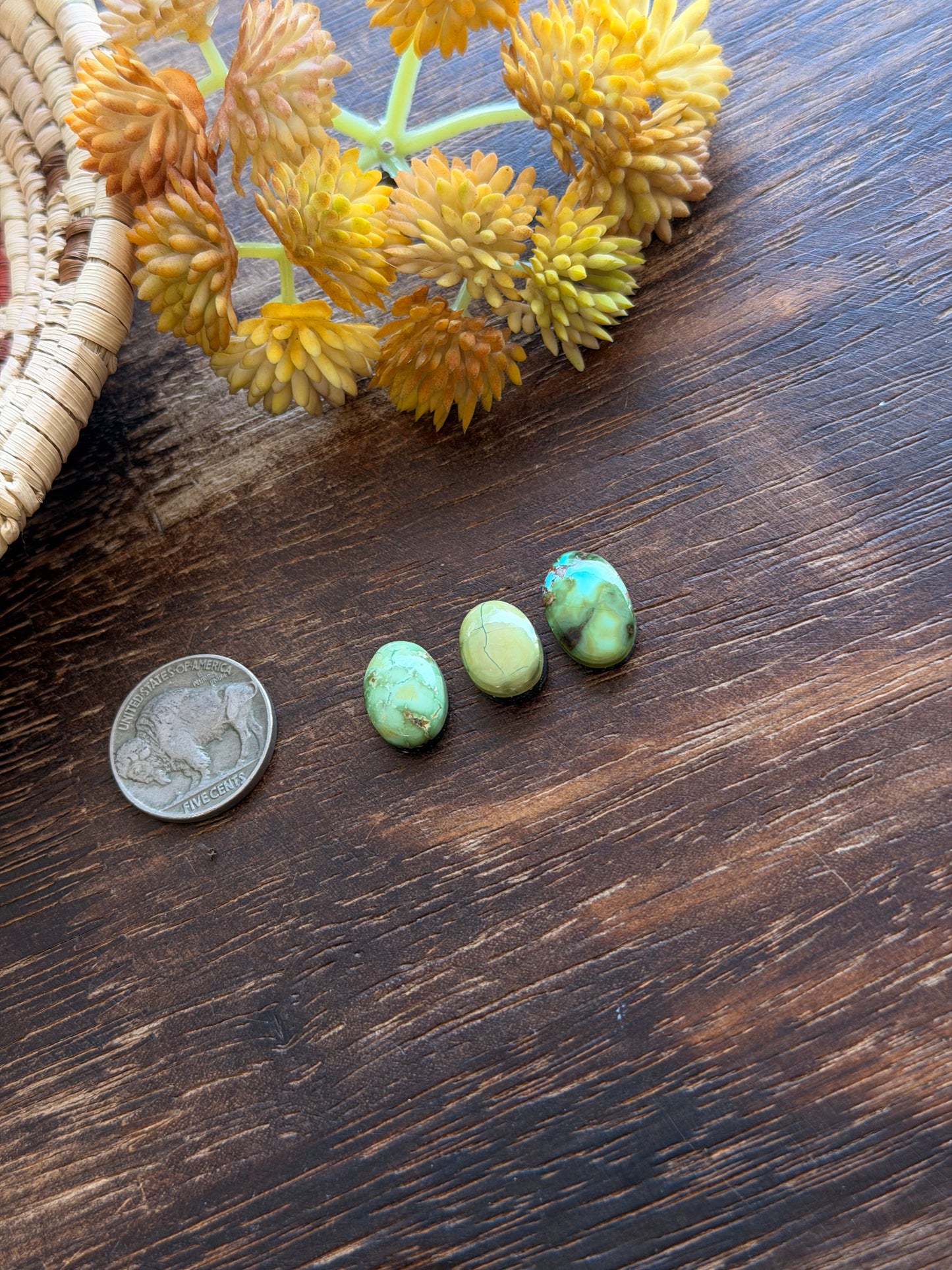 Sonoran Mountain Turquoise Cabs