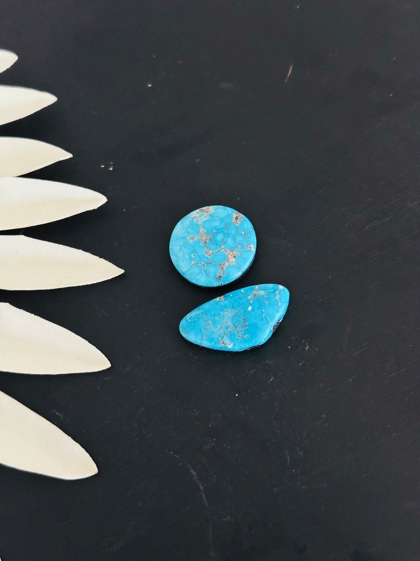 Blue Bird Turquoise Cabs