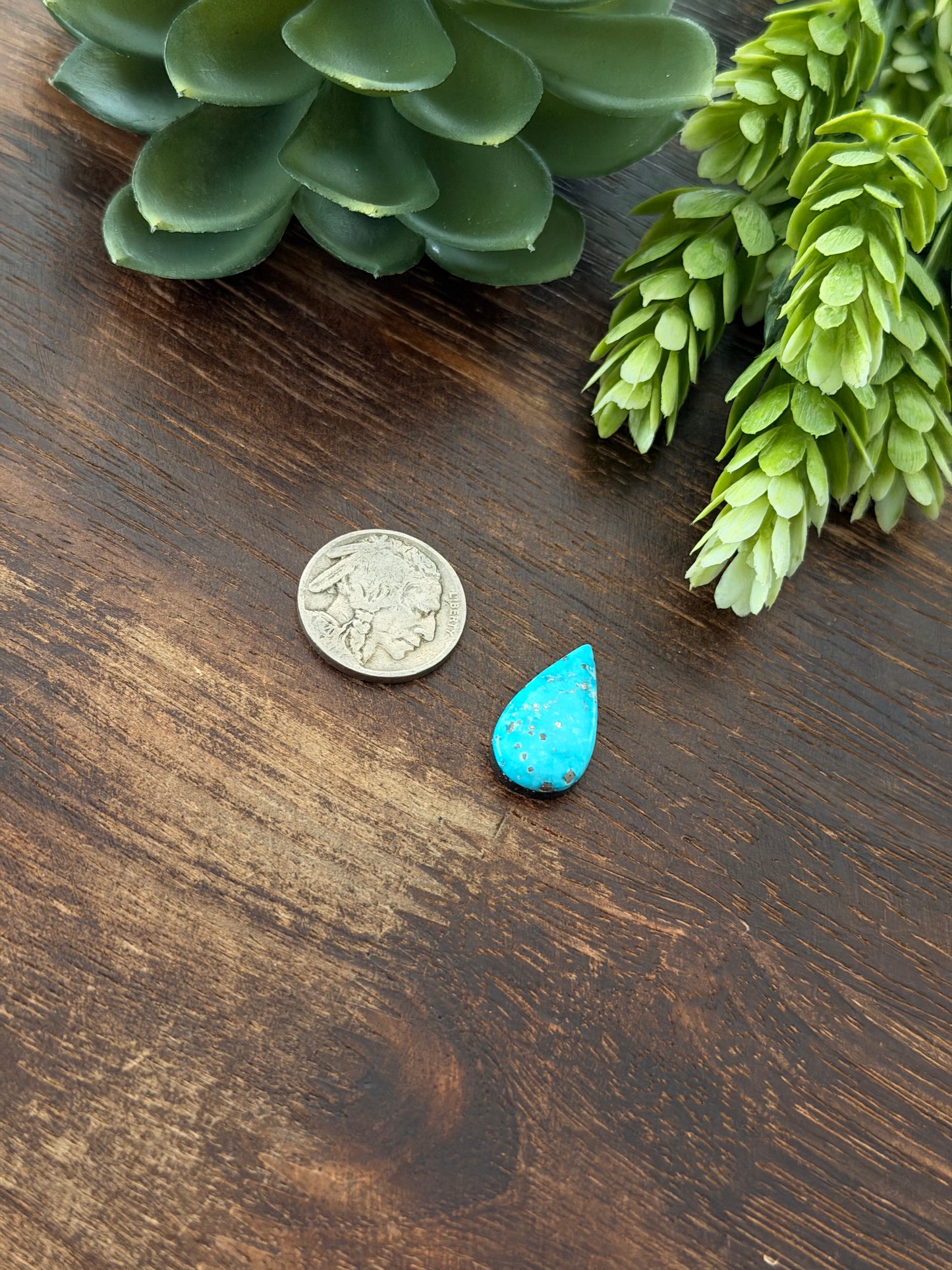 Blue Bird Turquoise Cab