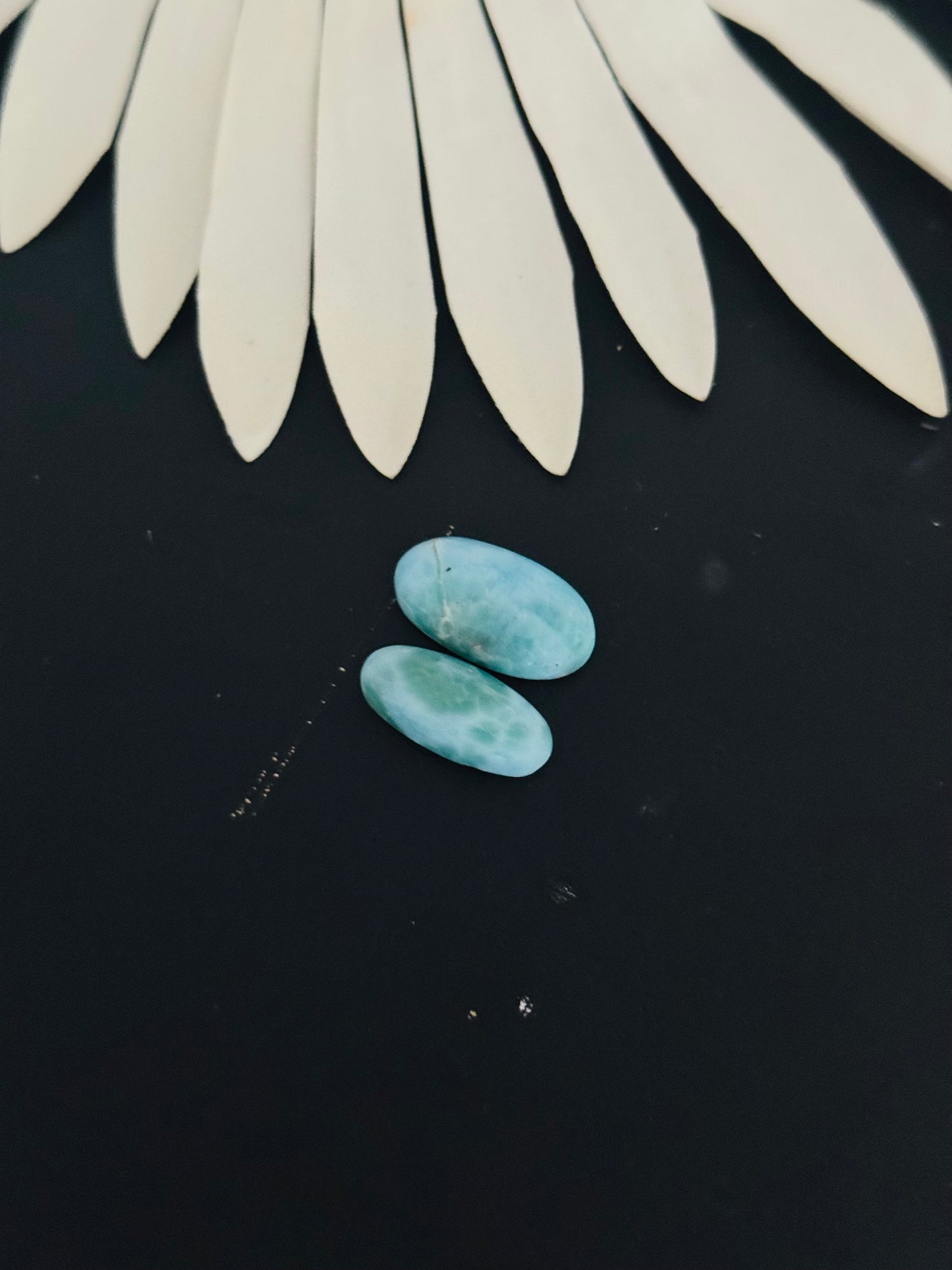Larimar Cabs
