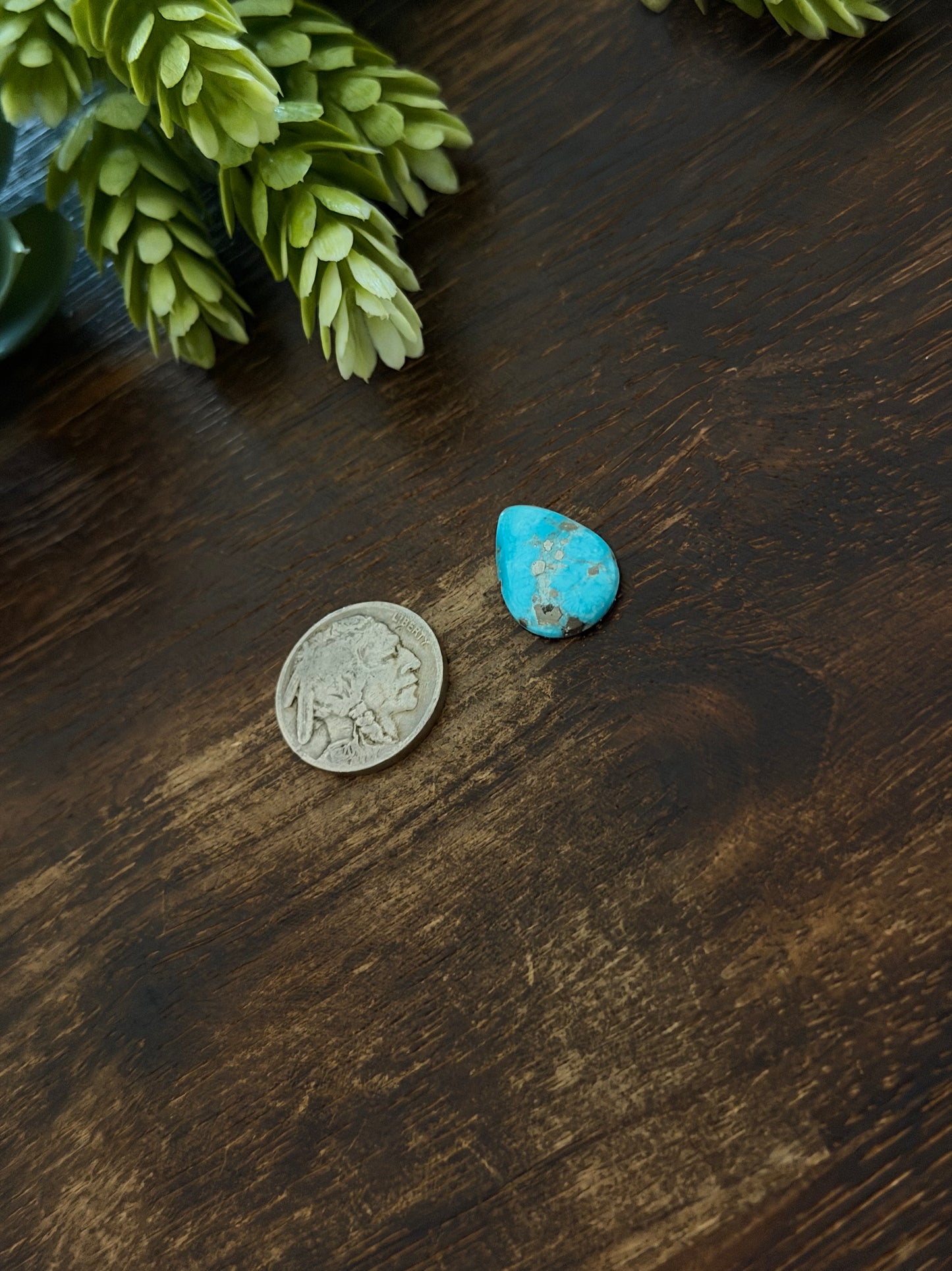 Blue Bird Turquoise Cab