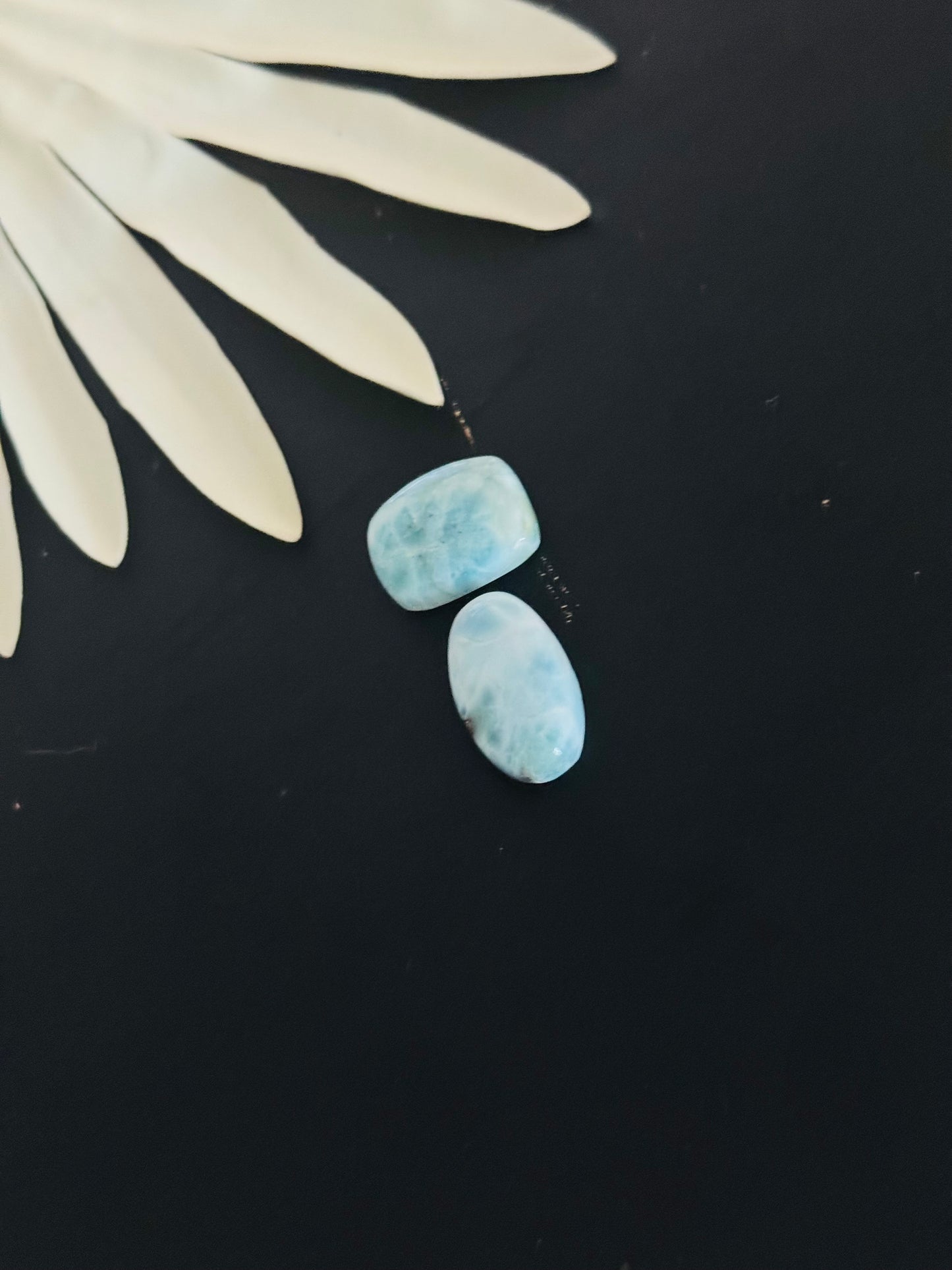 Larimar Cabs