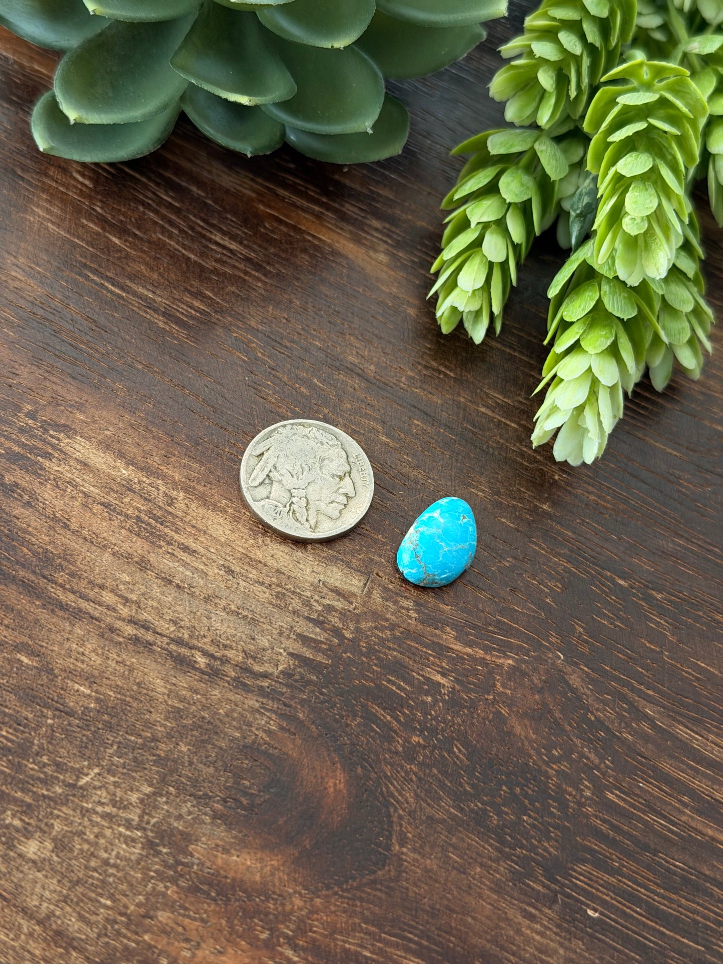 Blue Bird Turquoise Cab