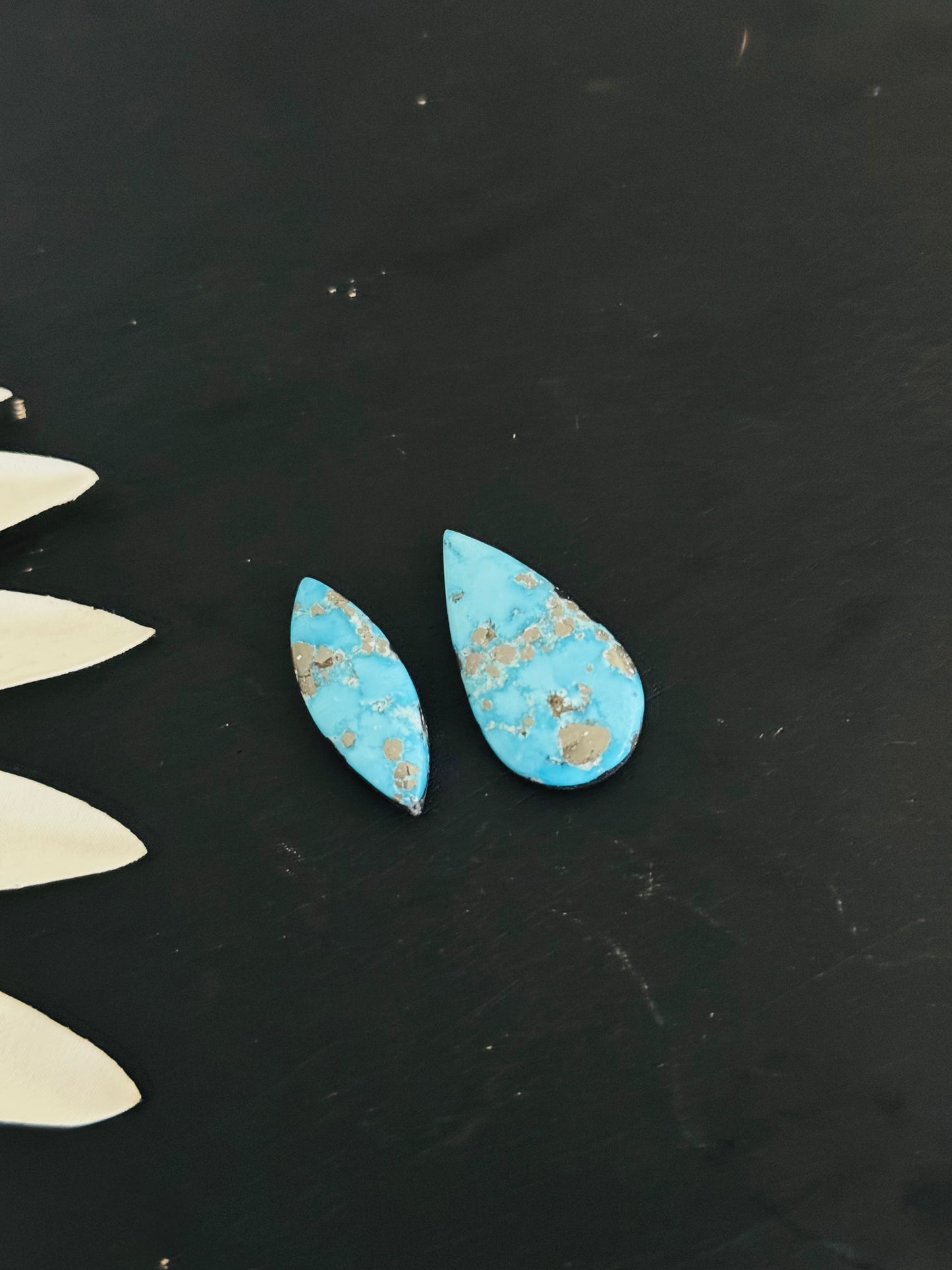 Blue Bird Turquoise Cabs