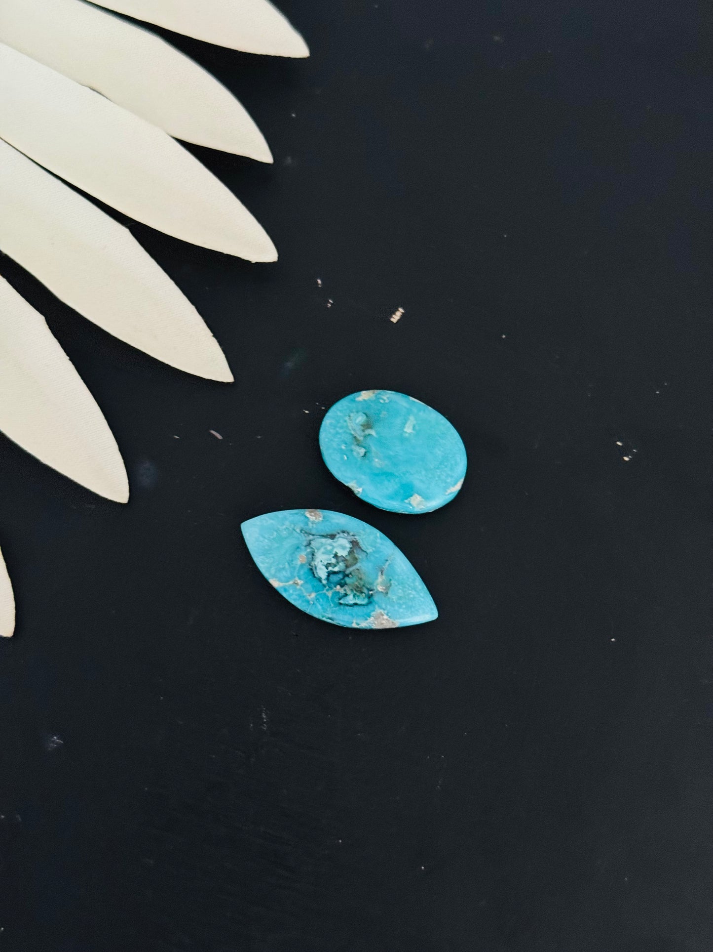 Blue Bird Turquoise Cabs