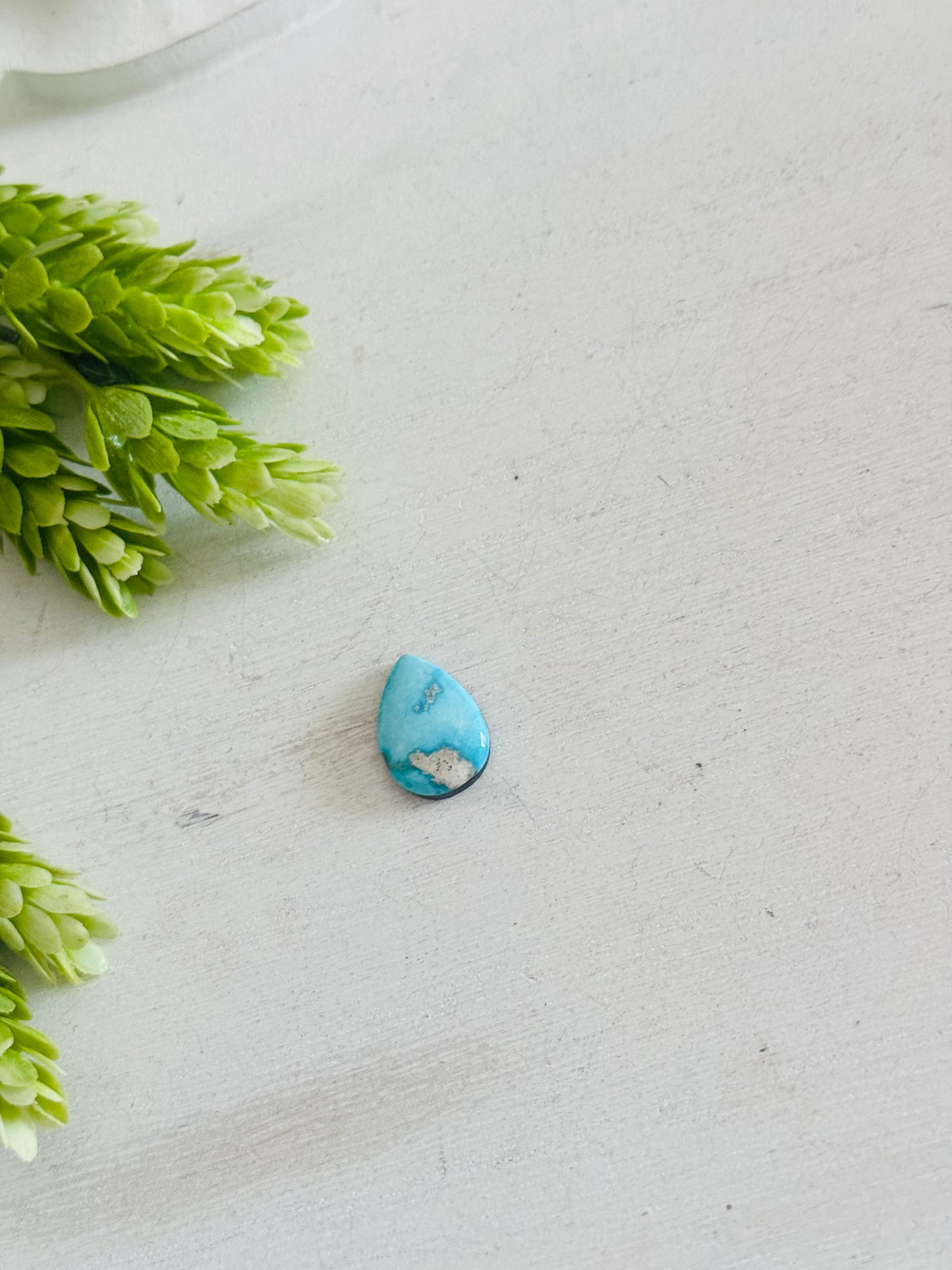 Blue Bird Turquoise Cab