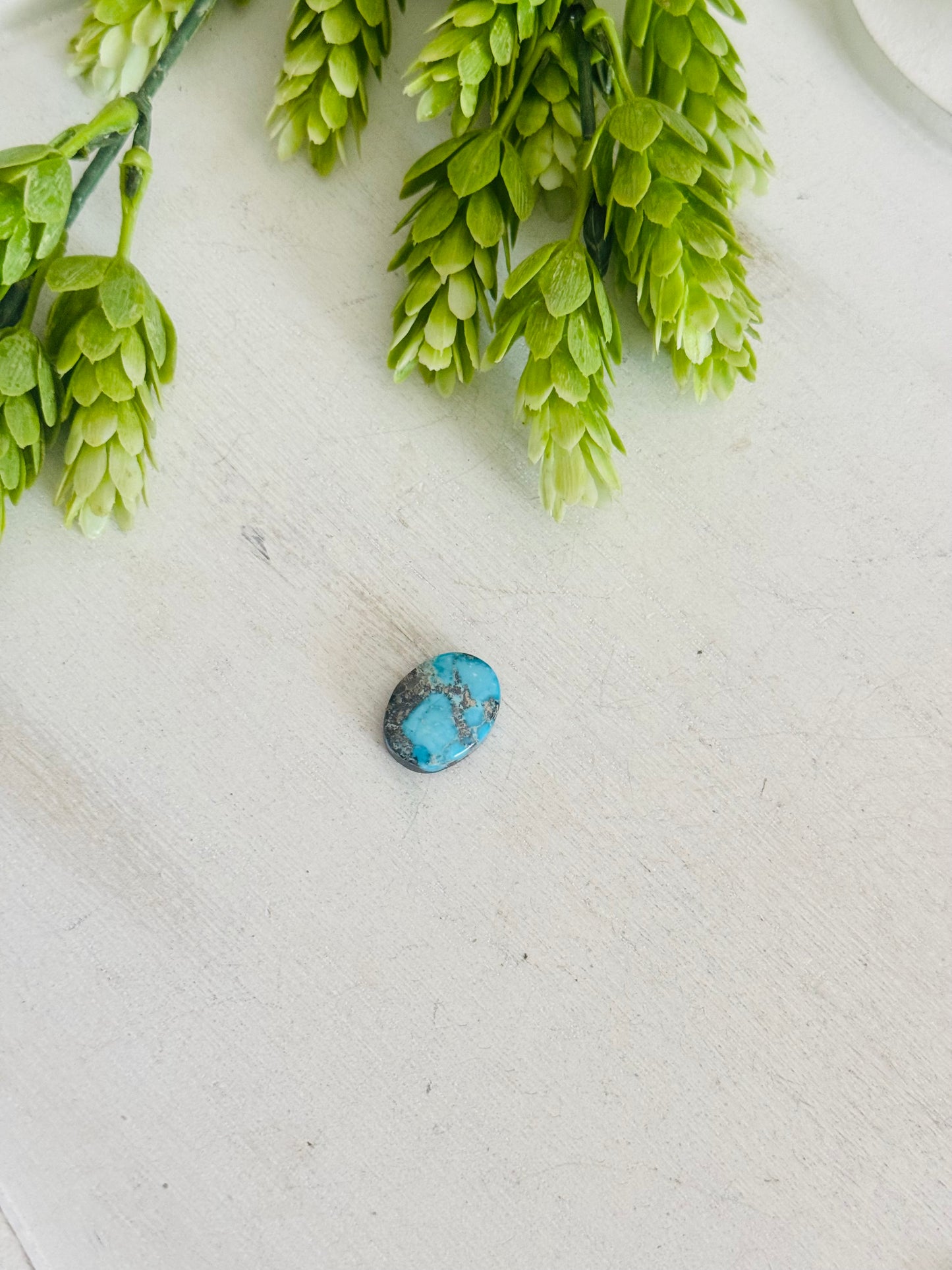 Blue Bird Turquoise Cab