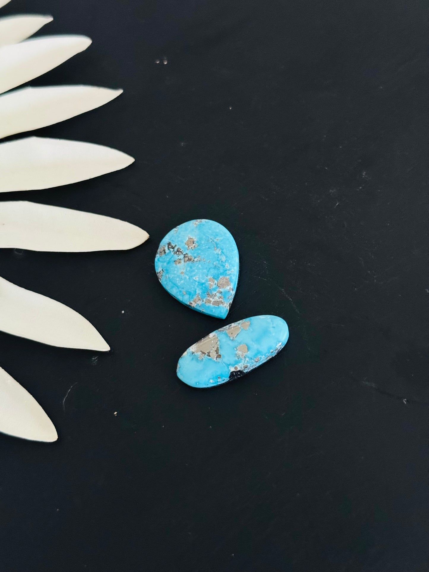 Blue Bird Turquoise Cabs
