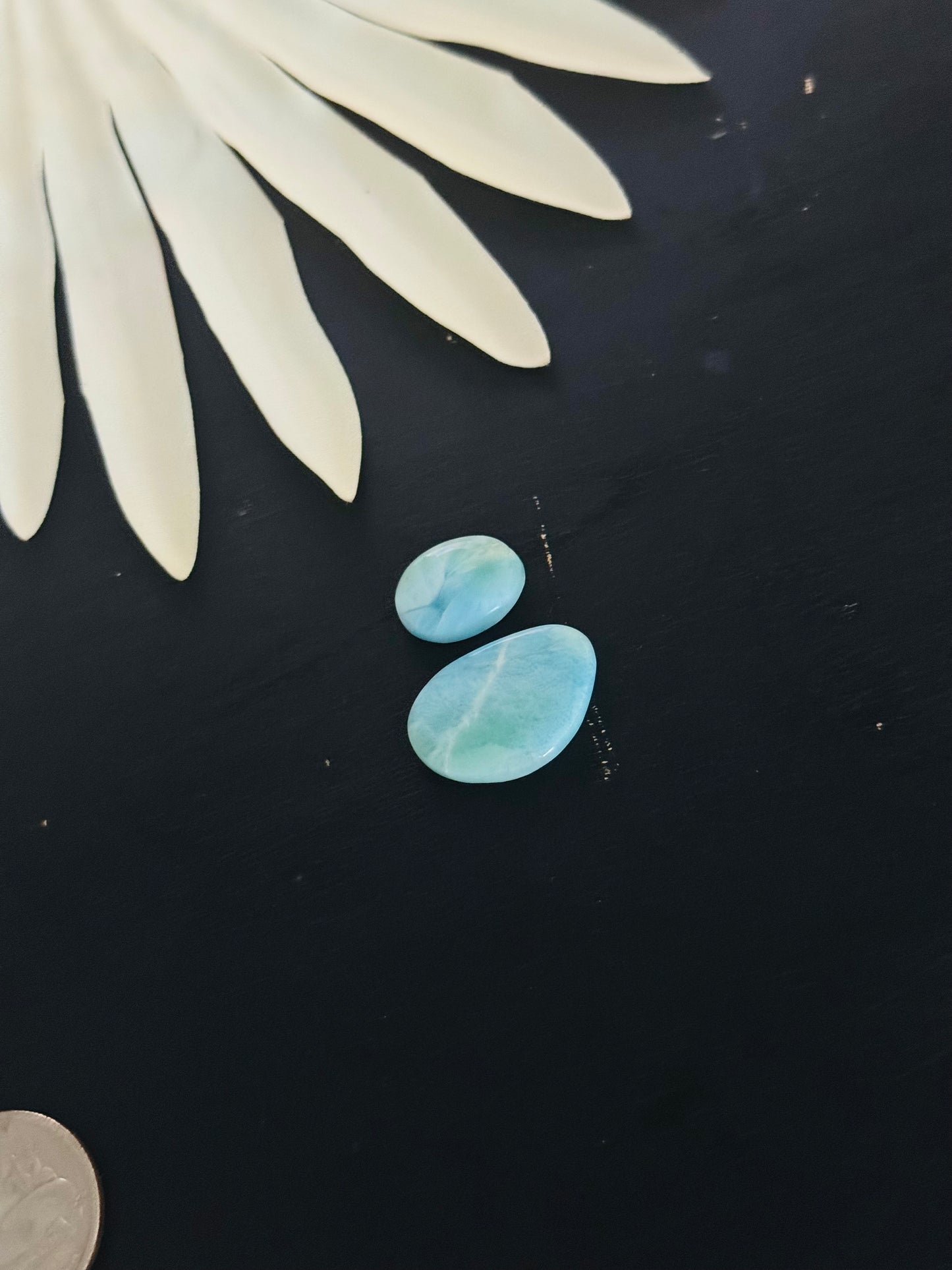 Larimar Cabs