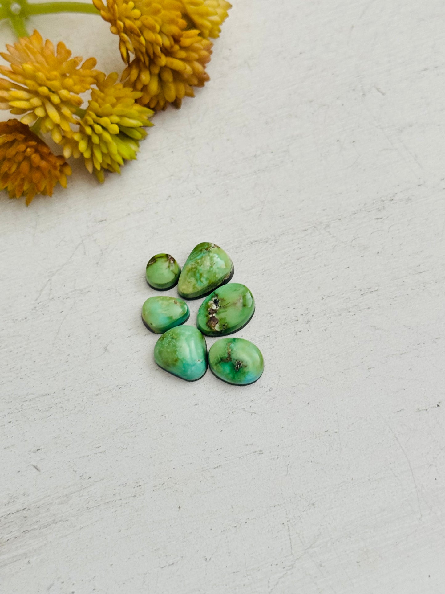 Natural Sonoran Gold Turquoise Cabs
