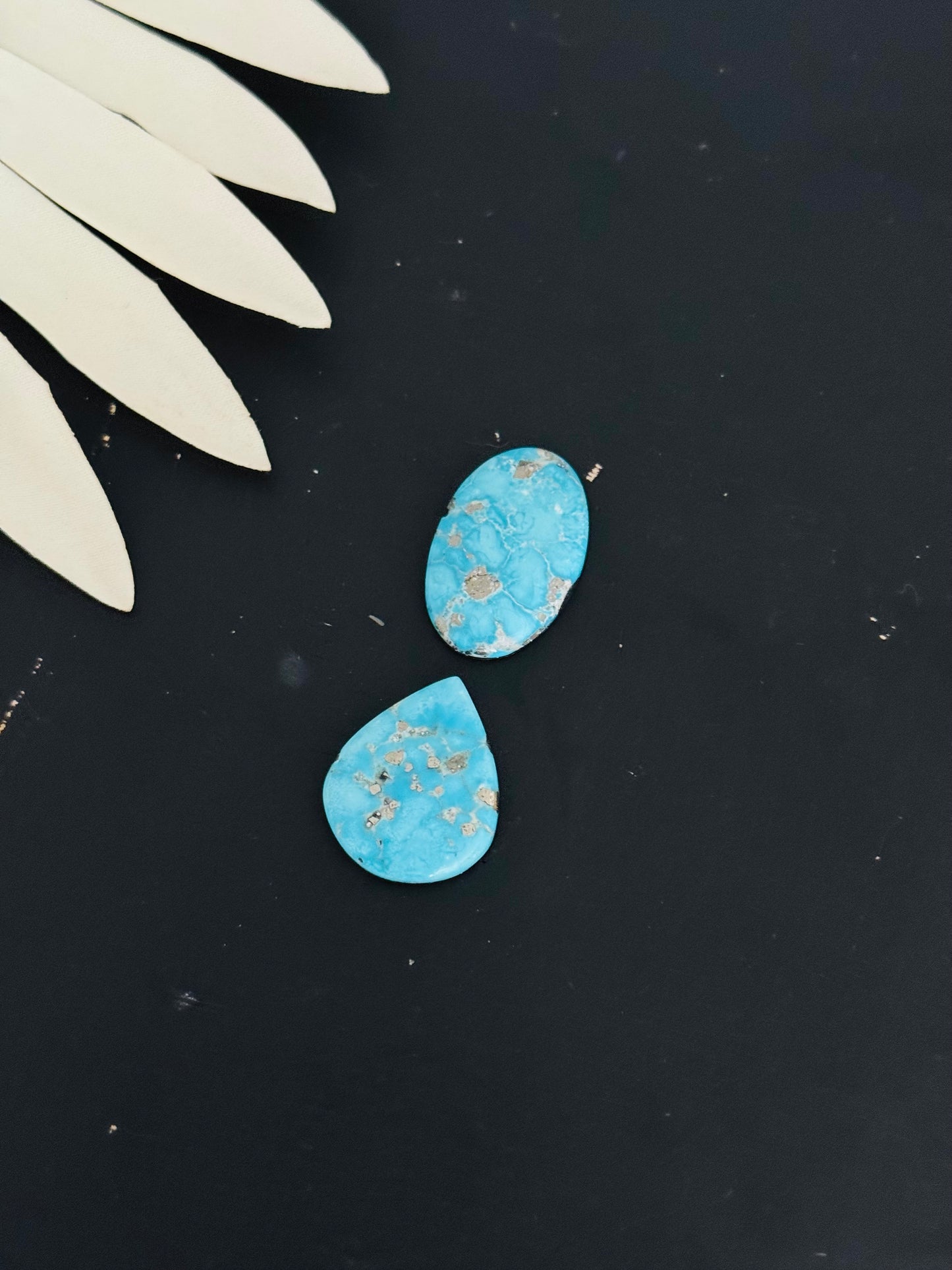 Blue Bird Turquoise Cabs