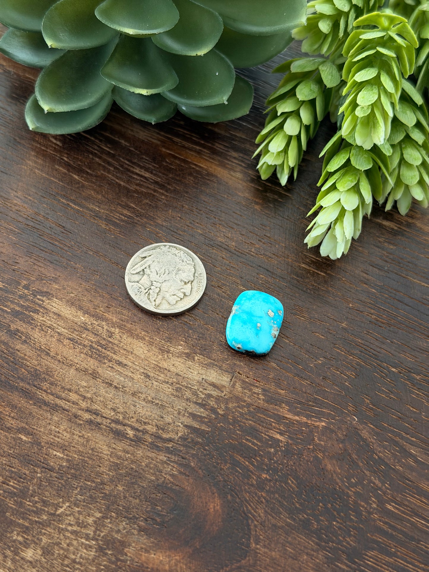 Blue Bird Turquoise Cab