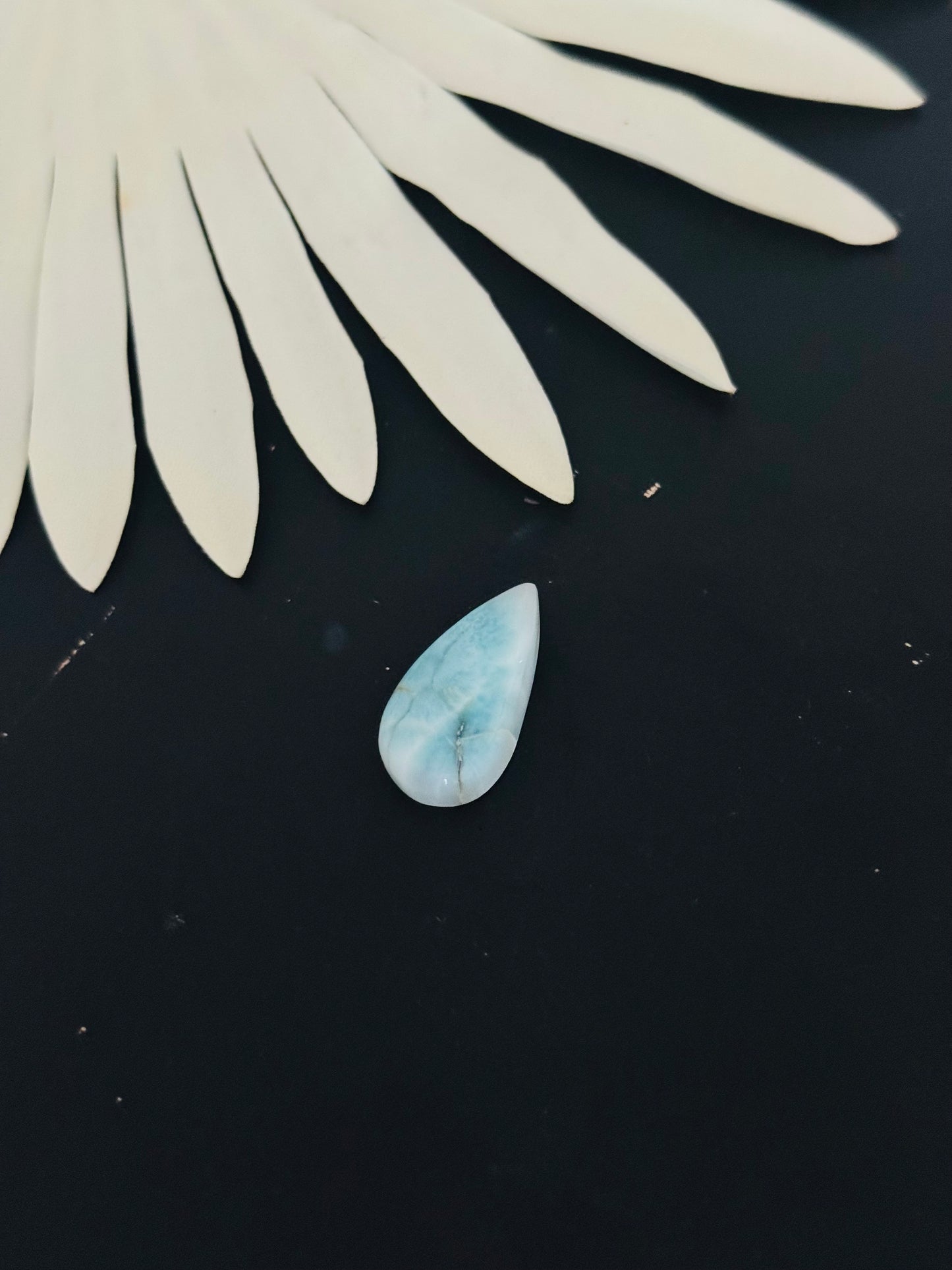 Larimar Cabs