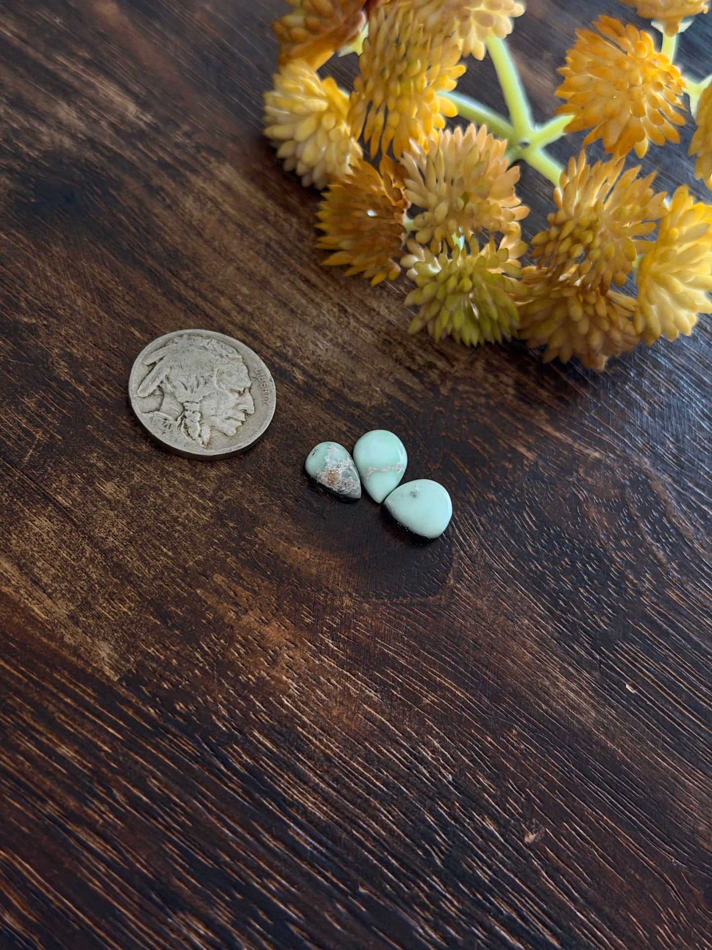 Paloma Variscite Cabs