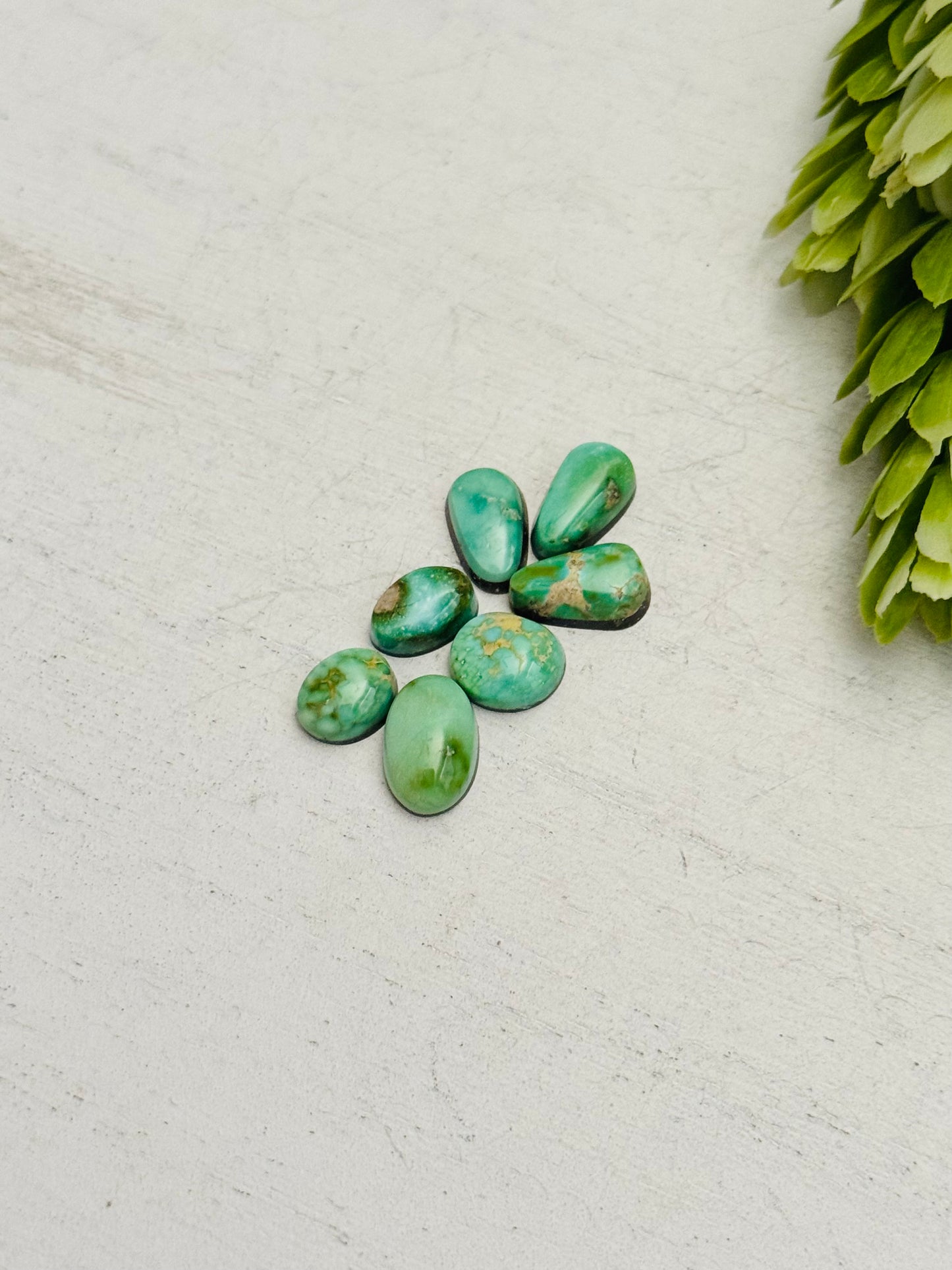 Natural Sonoran Gold Turquoise Cabs