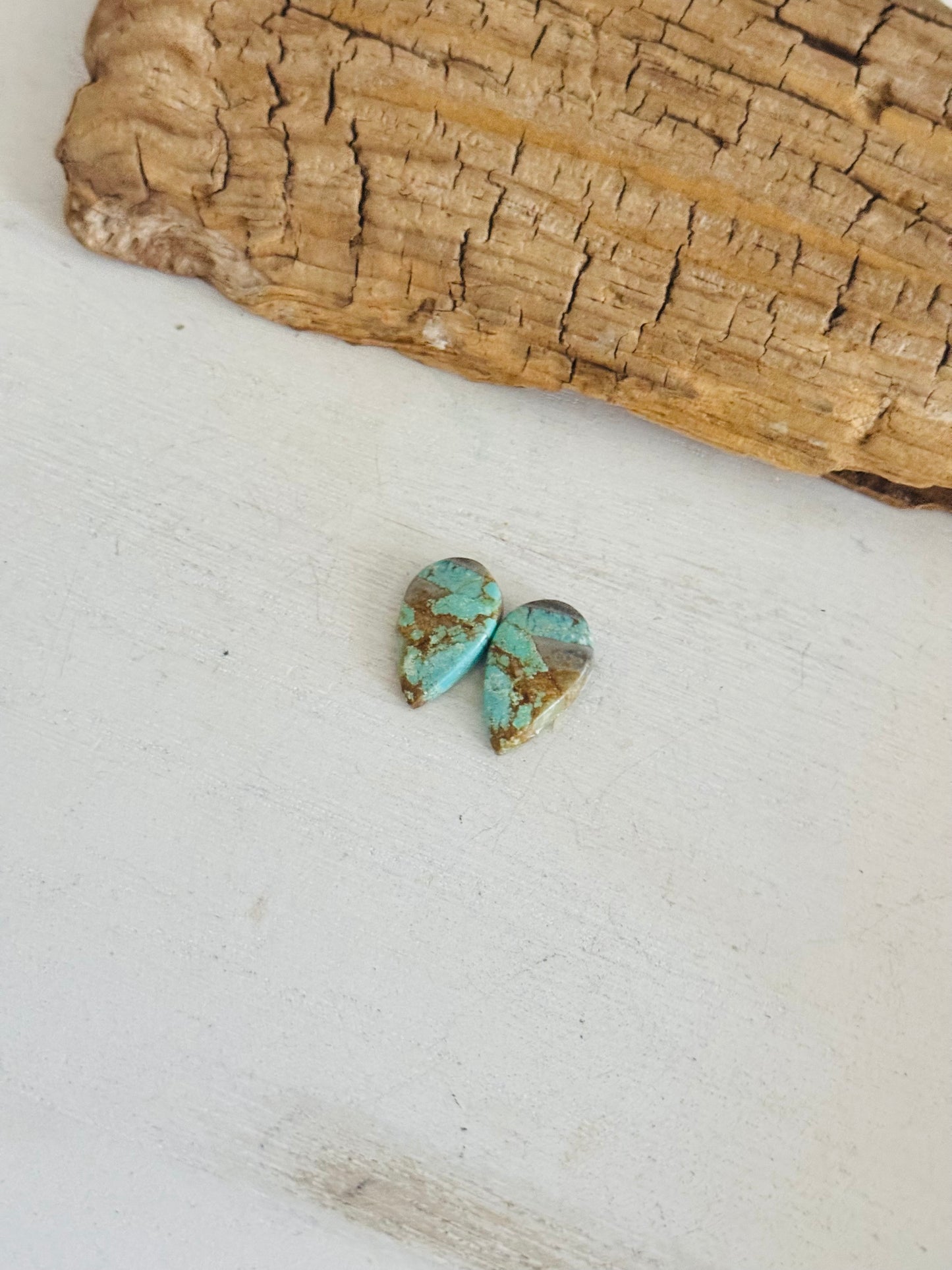 #8 Turquoise Earring Pair Cabs