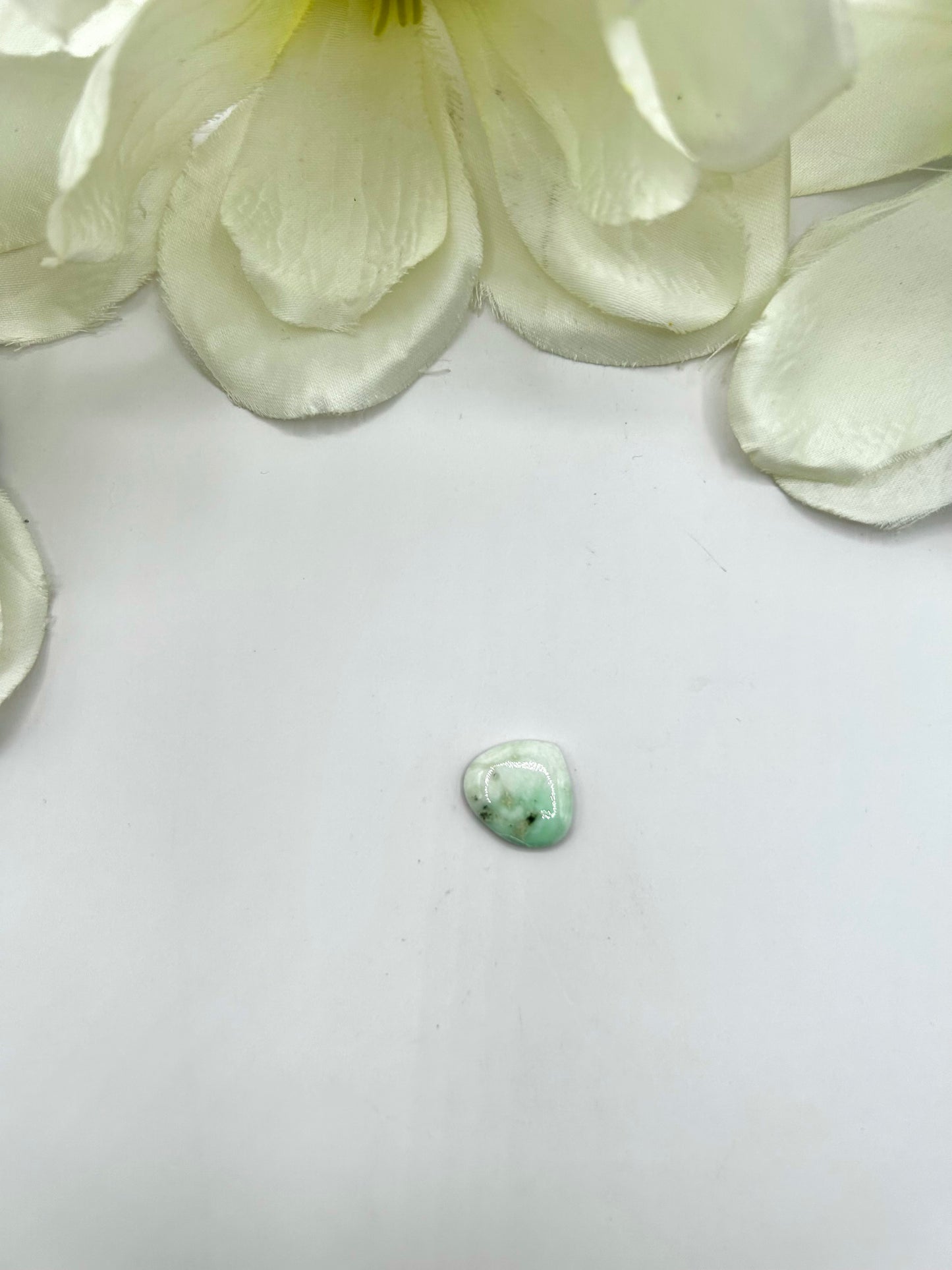 Paloma Variscite Cabs
