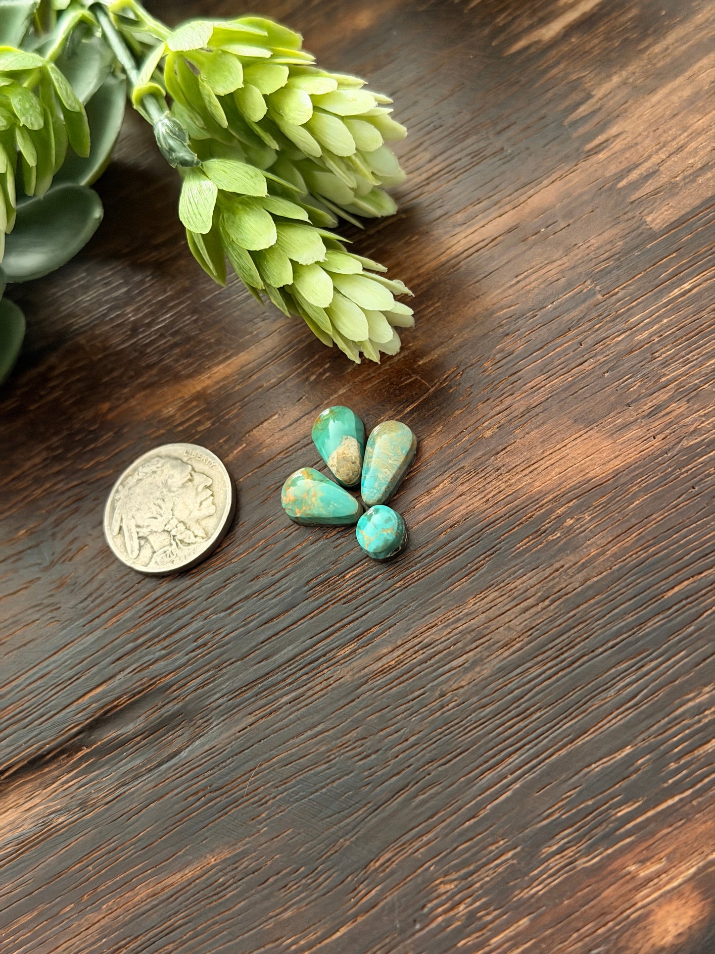 Evans Turquoise Cabs