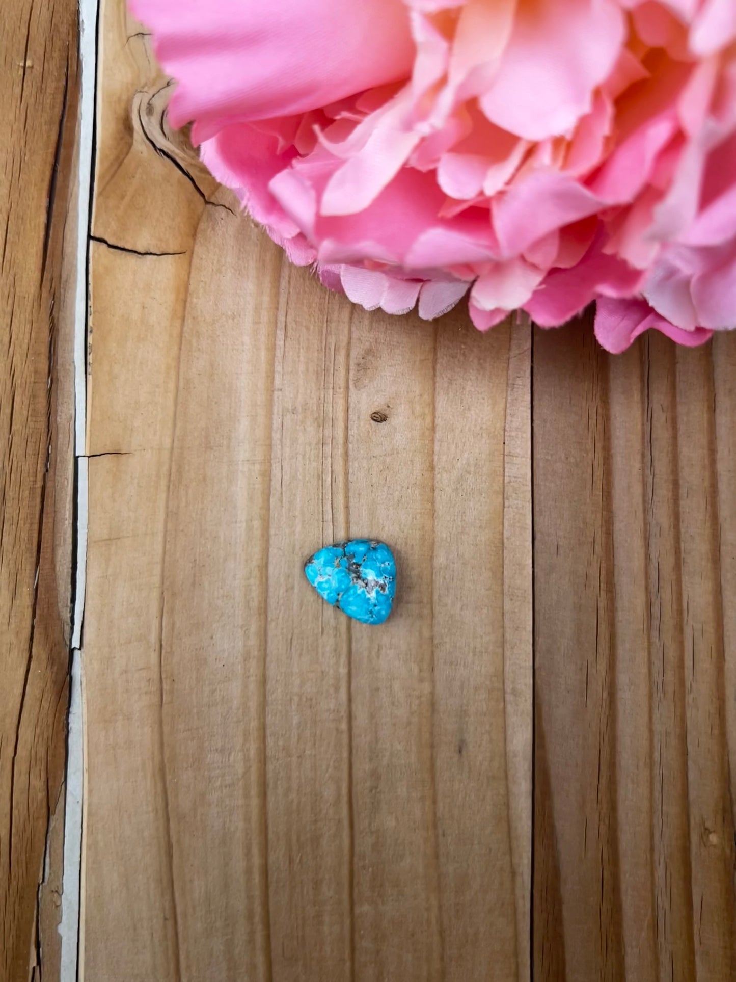 Blue Bird Turquoise Cabs